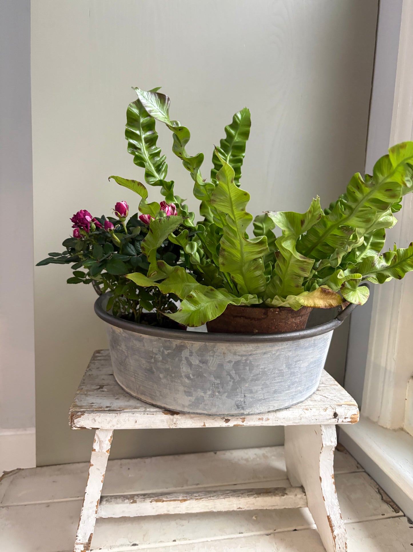 Large Vintage Style Round Zinc Bowl Planter with Handles
