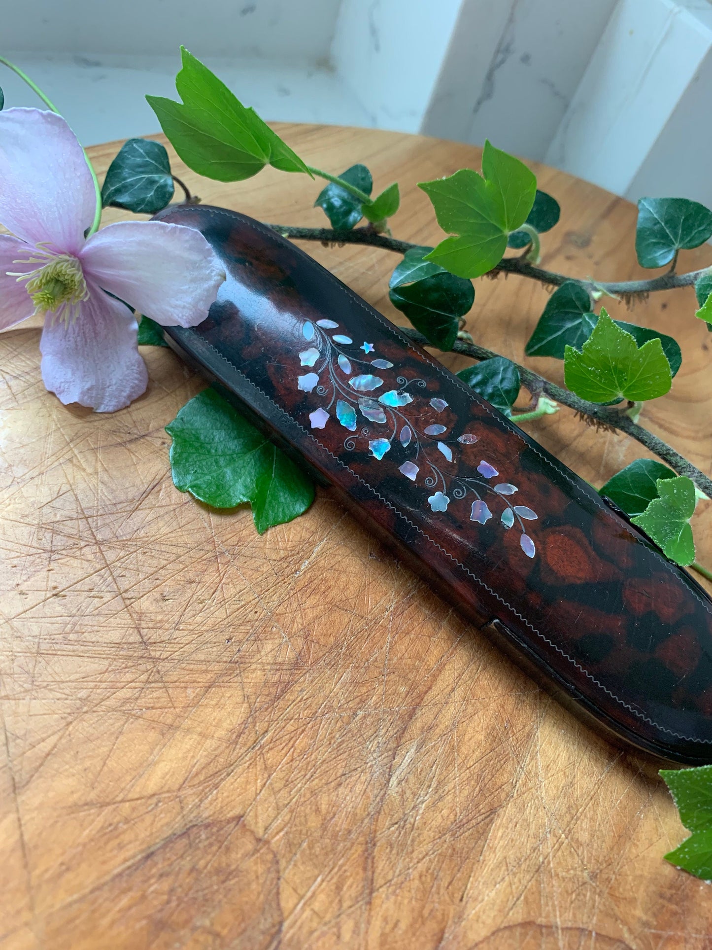 Lacquer Spectacle Case