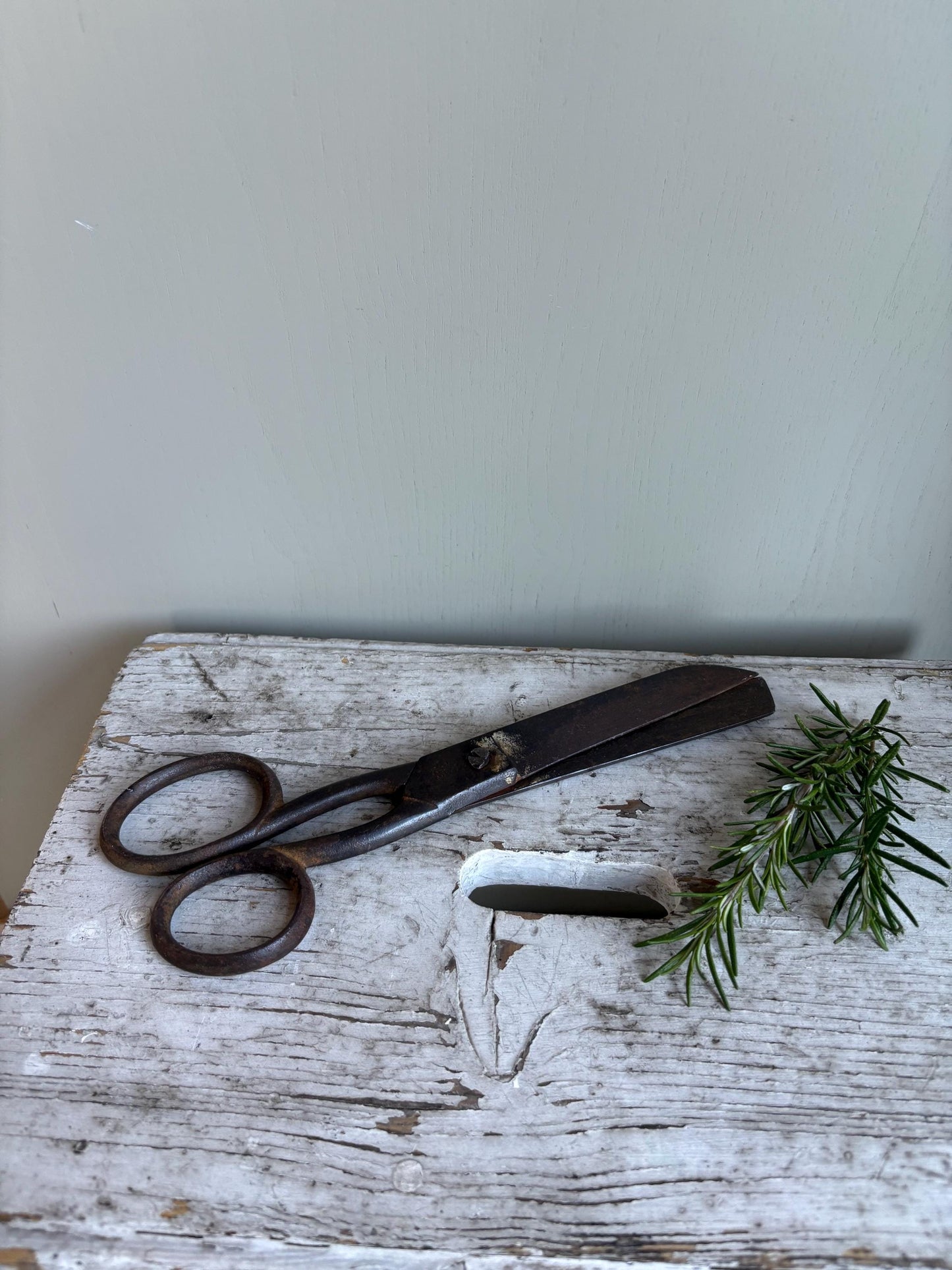 Large Old Pair of Scissors.