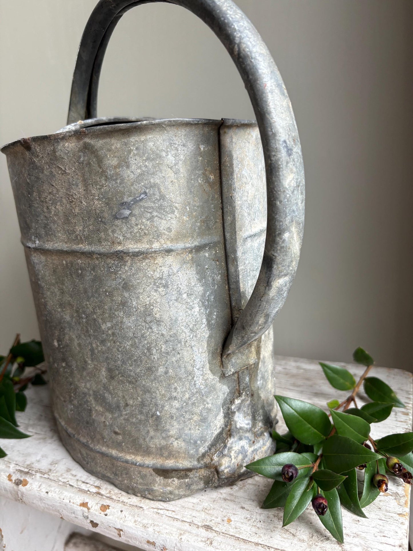 Galvanised Vintage Watering Can