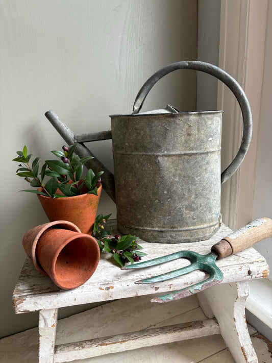 Galvanised Vintage Watering Can