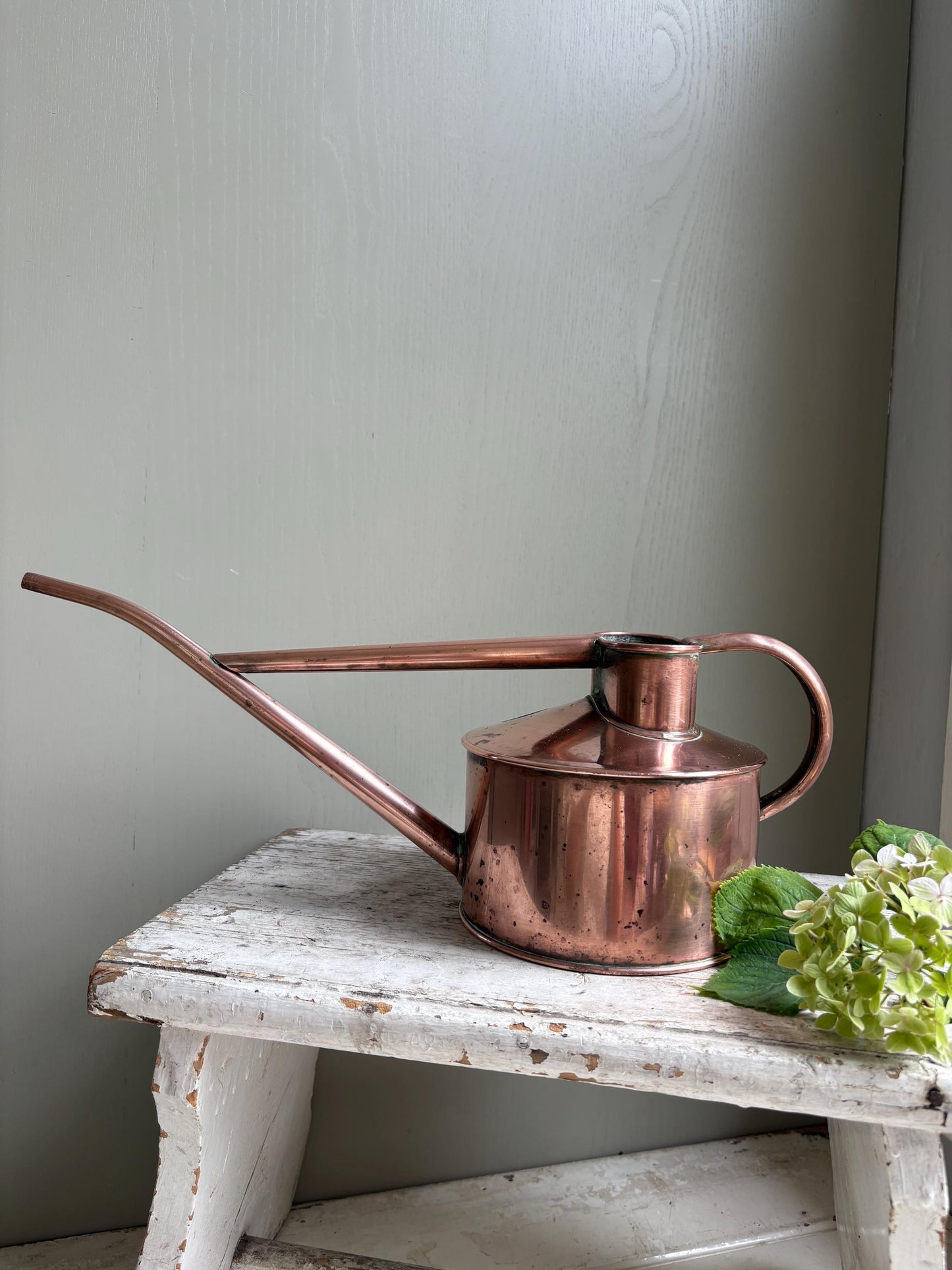 Haws original Copper Watering Can