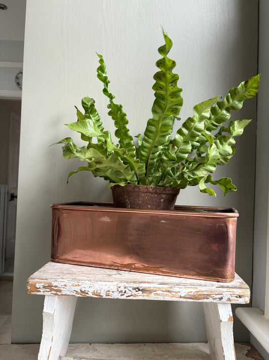 Copper Trough, Copper Planter, Windowsill Planter.