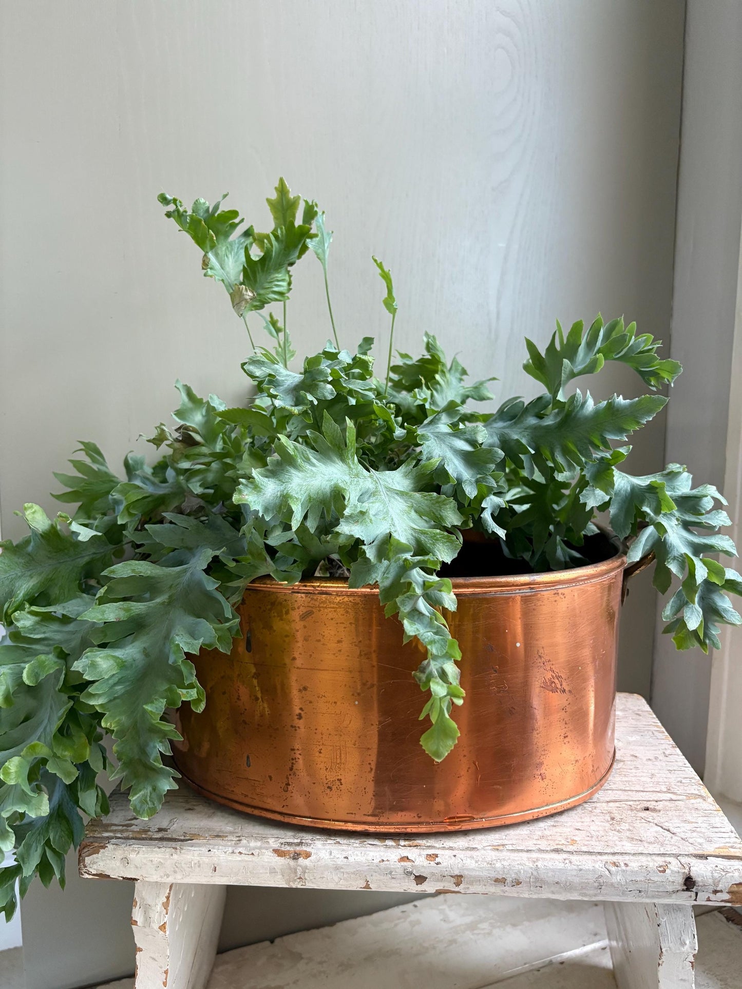 Large Oval Copper Planter
