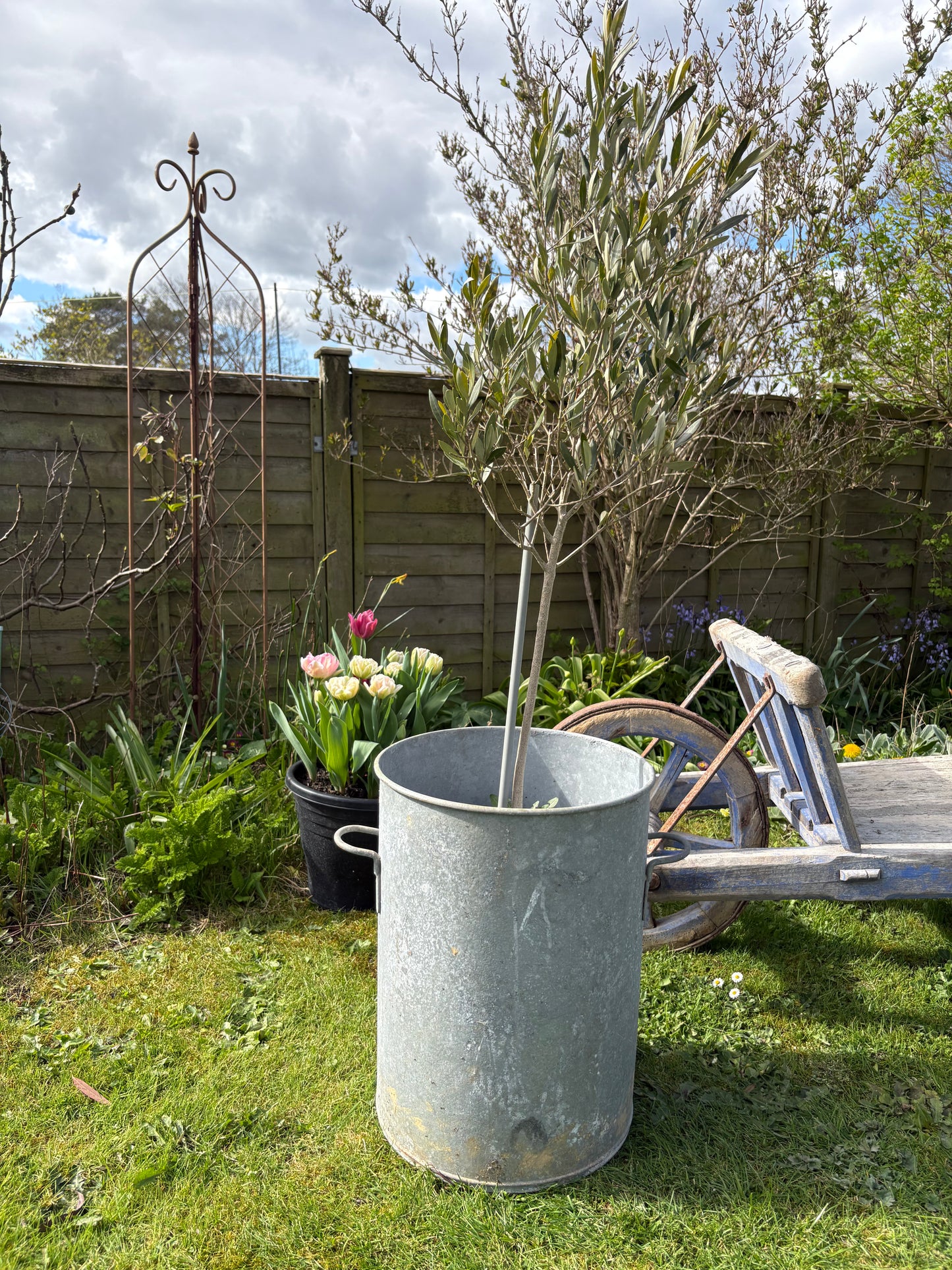 Tall Vintage Galvanised Planter