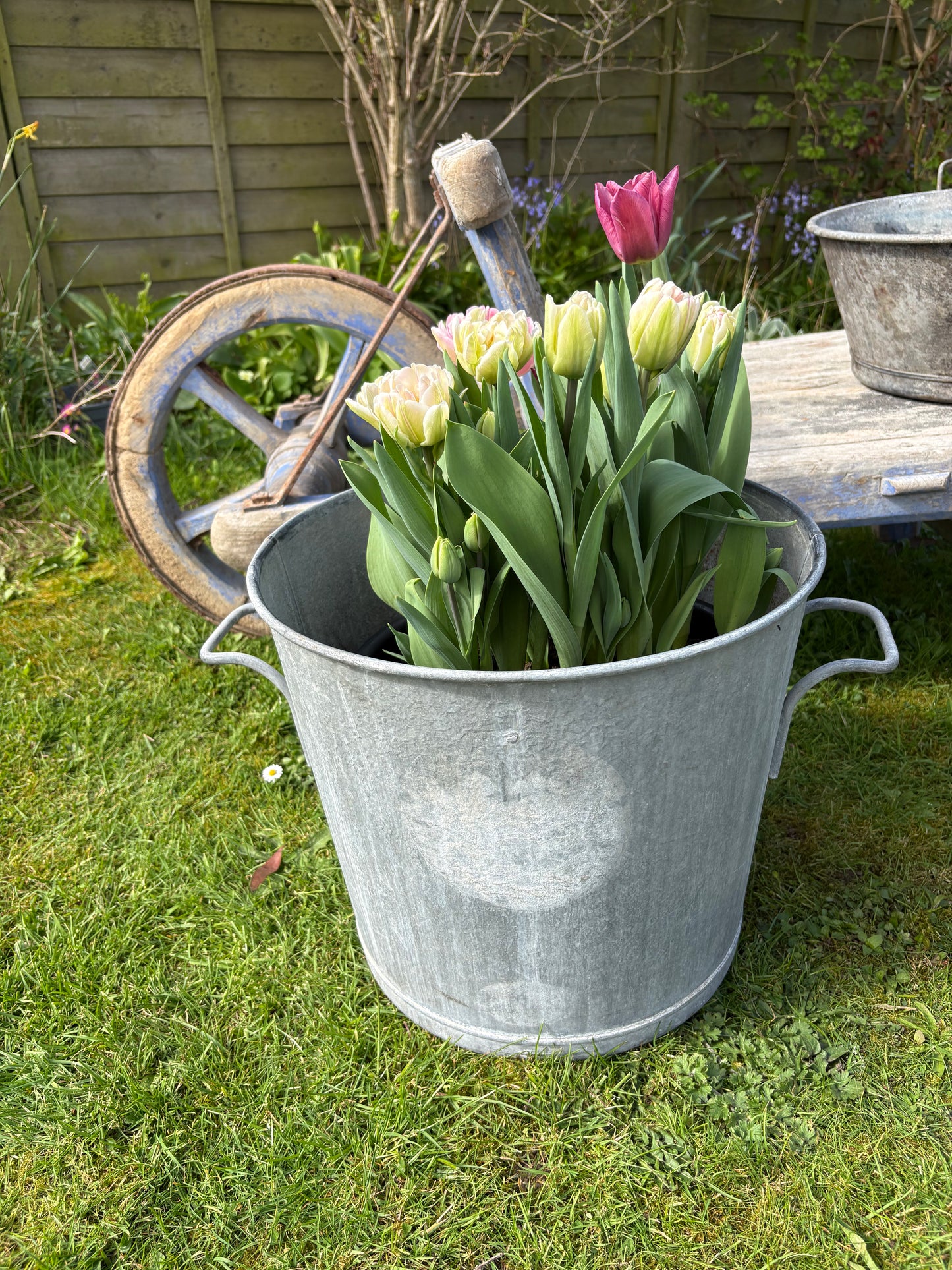 Vintage Galvanised Planter