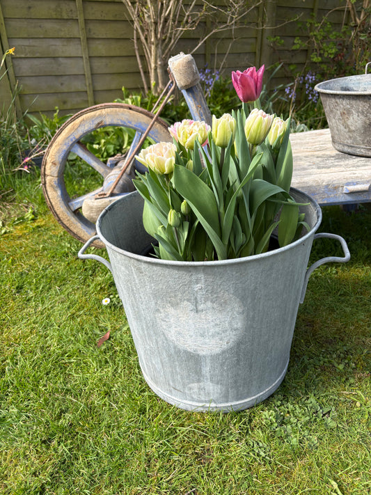 Vintage Galvanised Planter
