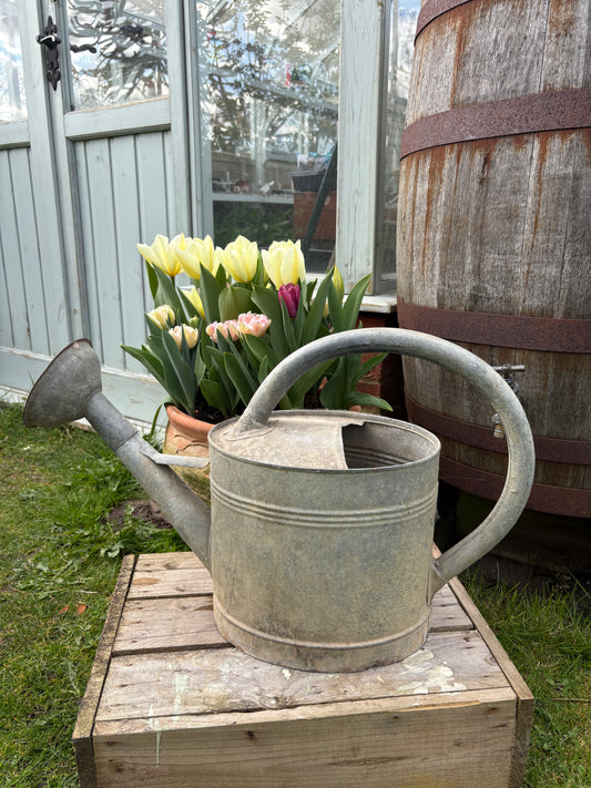 French Vintage Galvanised Watering Can