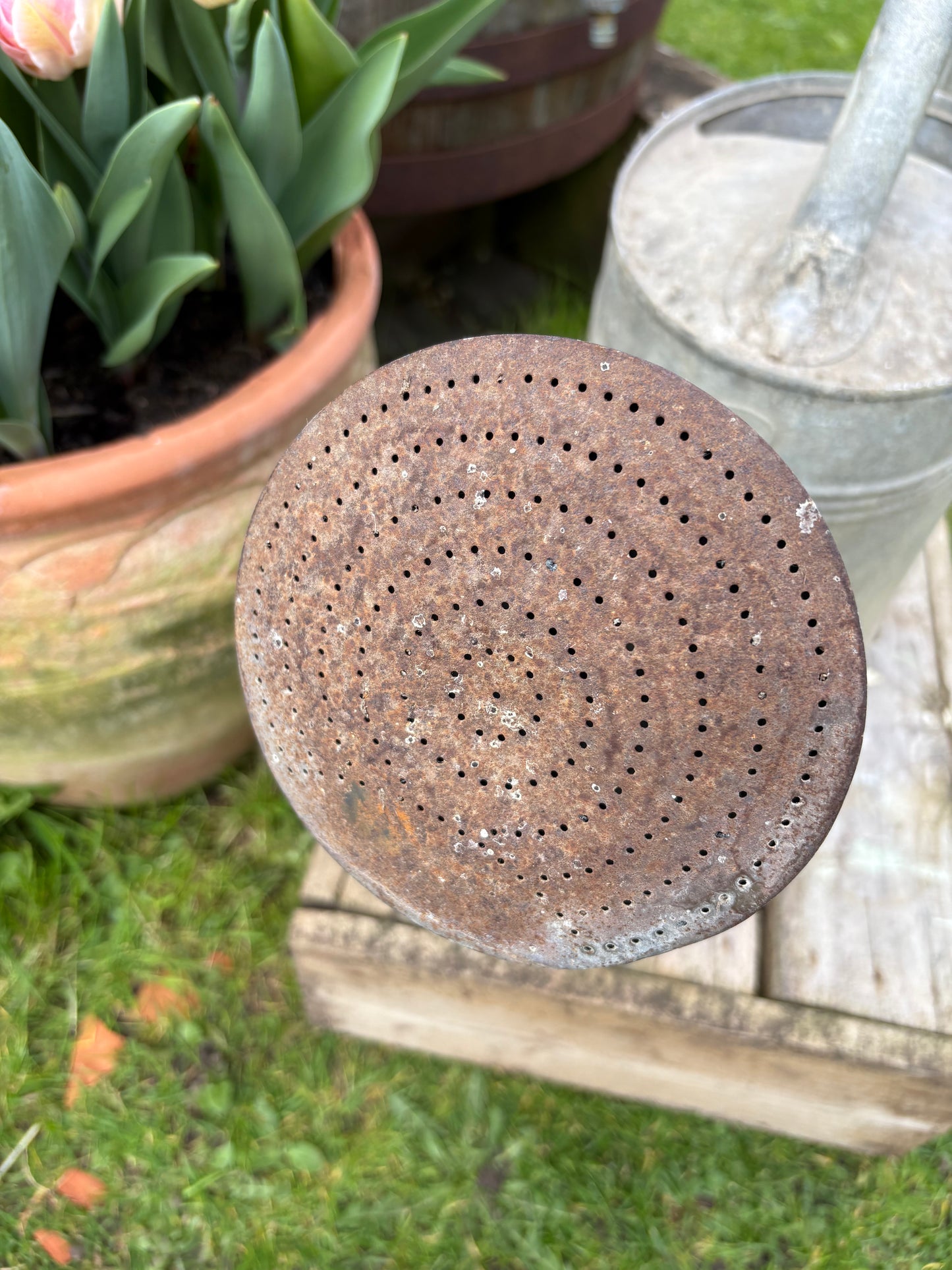 French Vintage Galvanised Watering Can