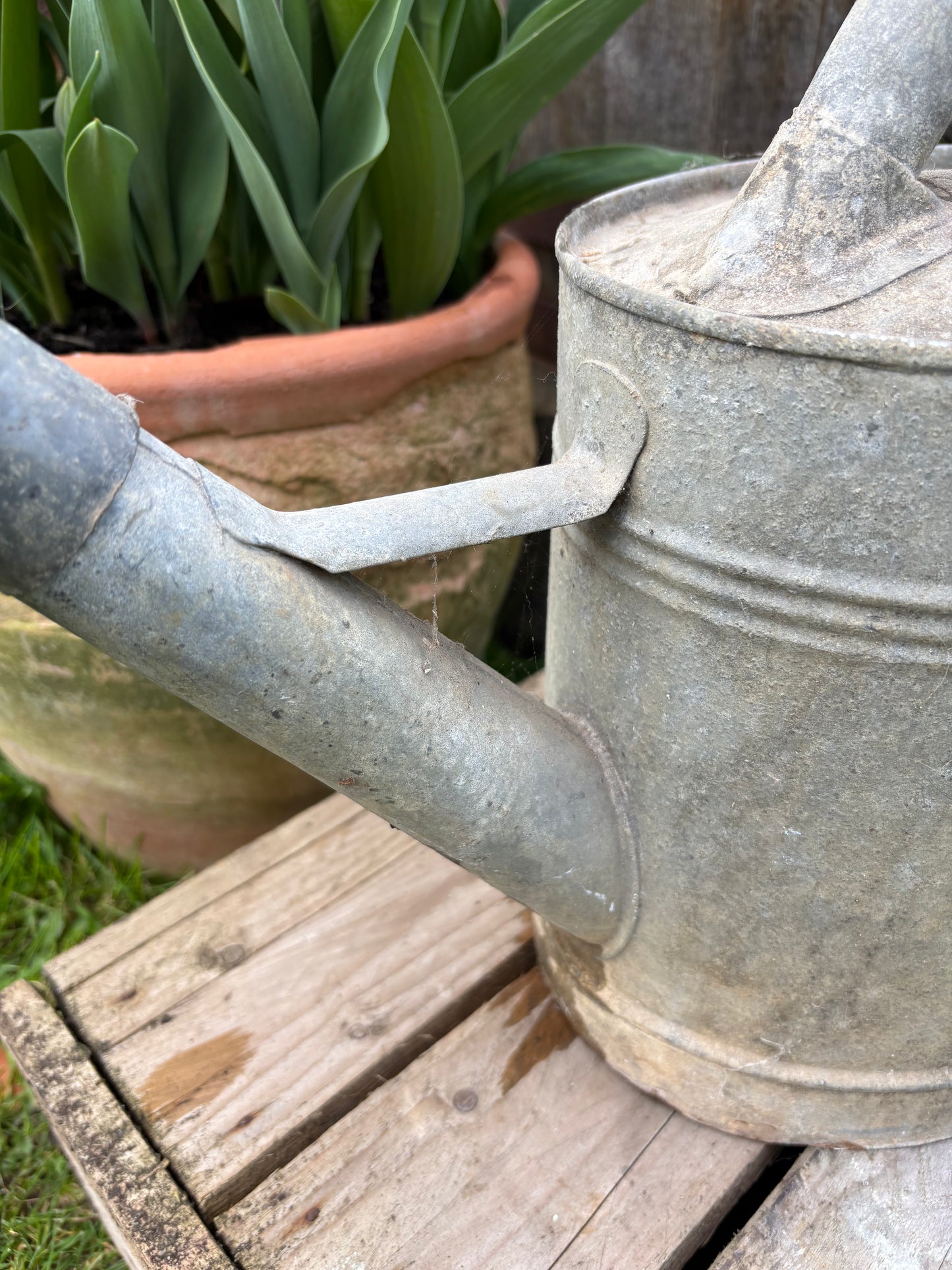 French Vintage Galvanised Watering Can