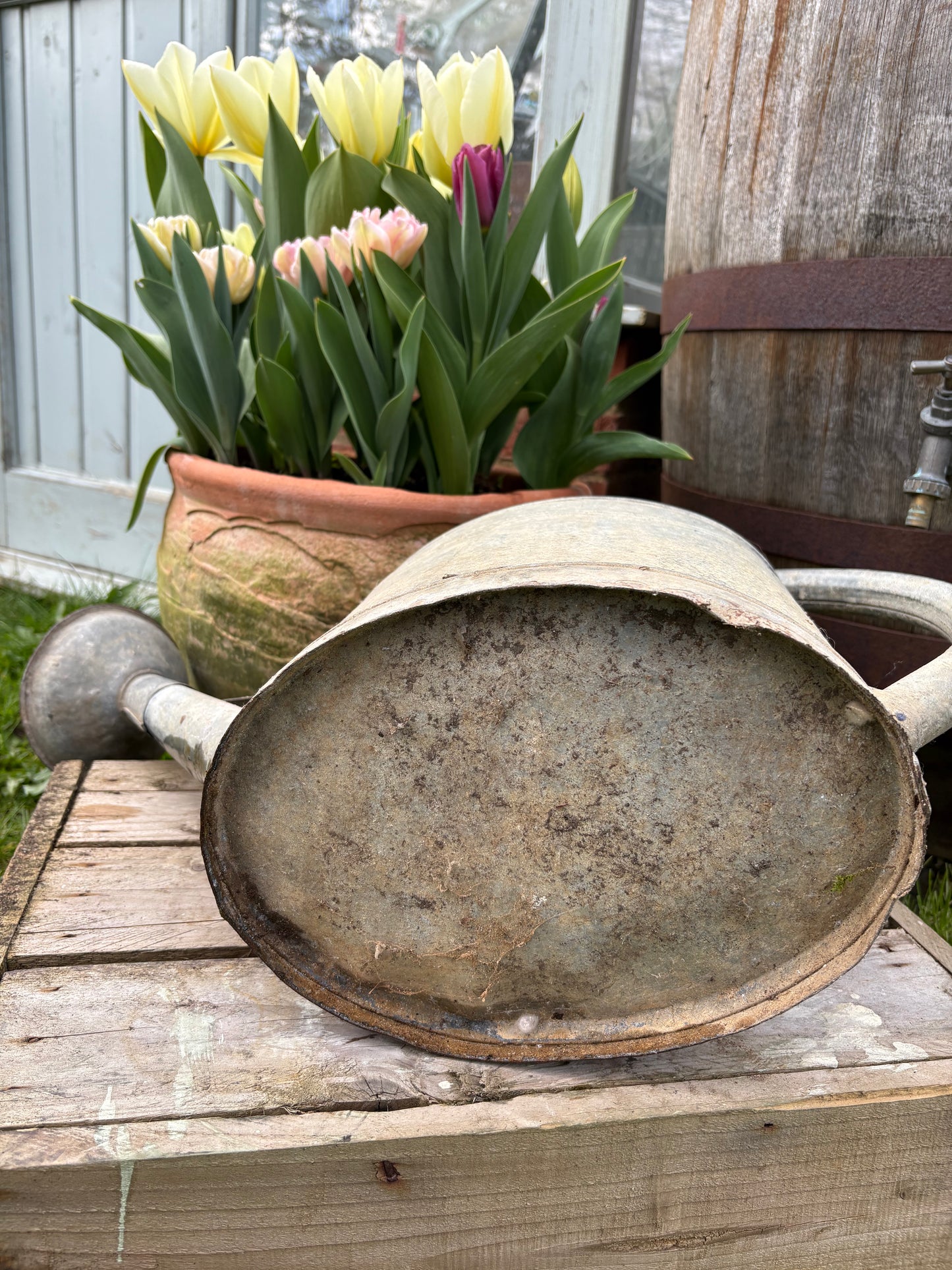 French Vintage Galvanised Watering Can