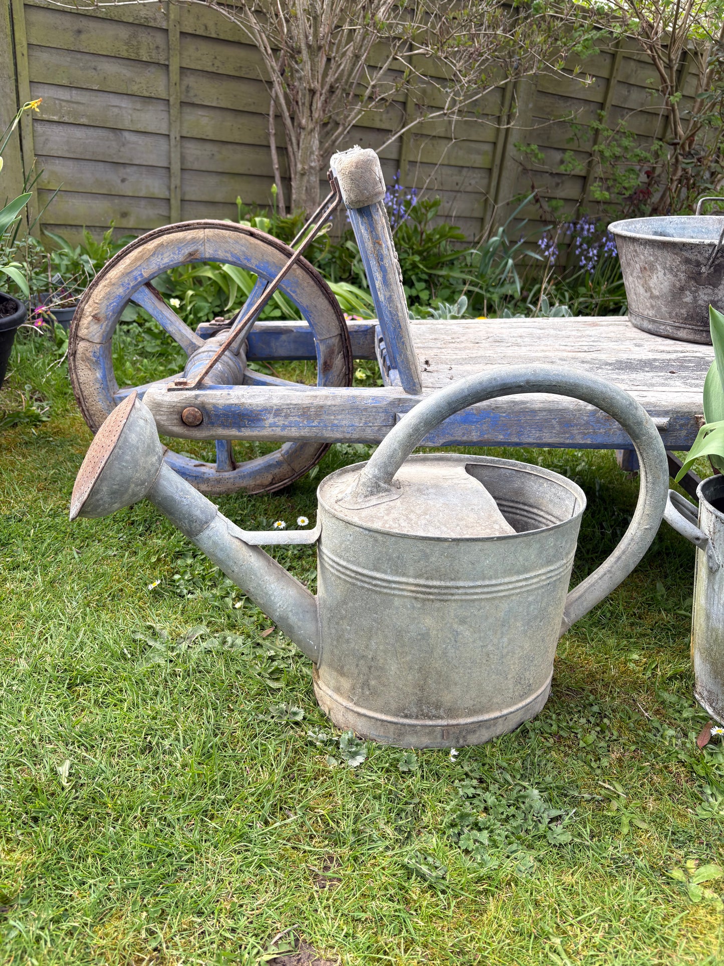 French Vintage Galvanised Watering Can