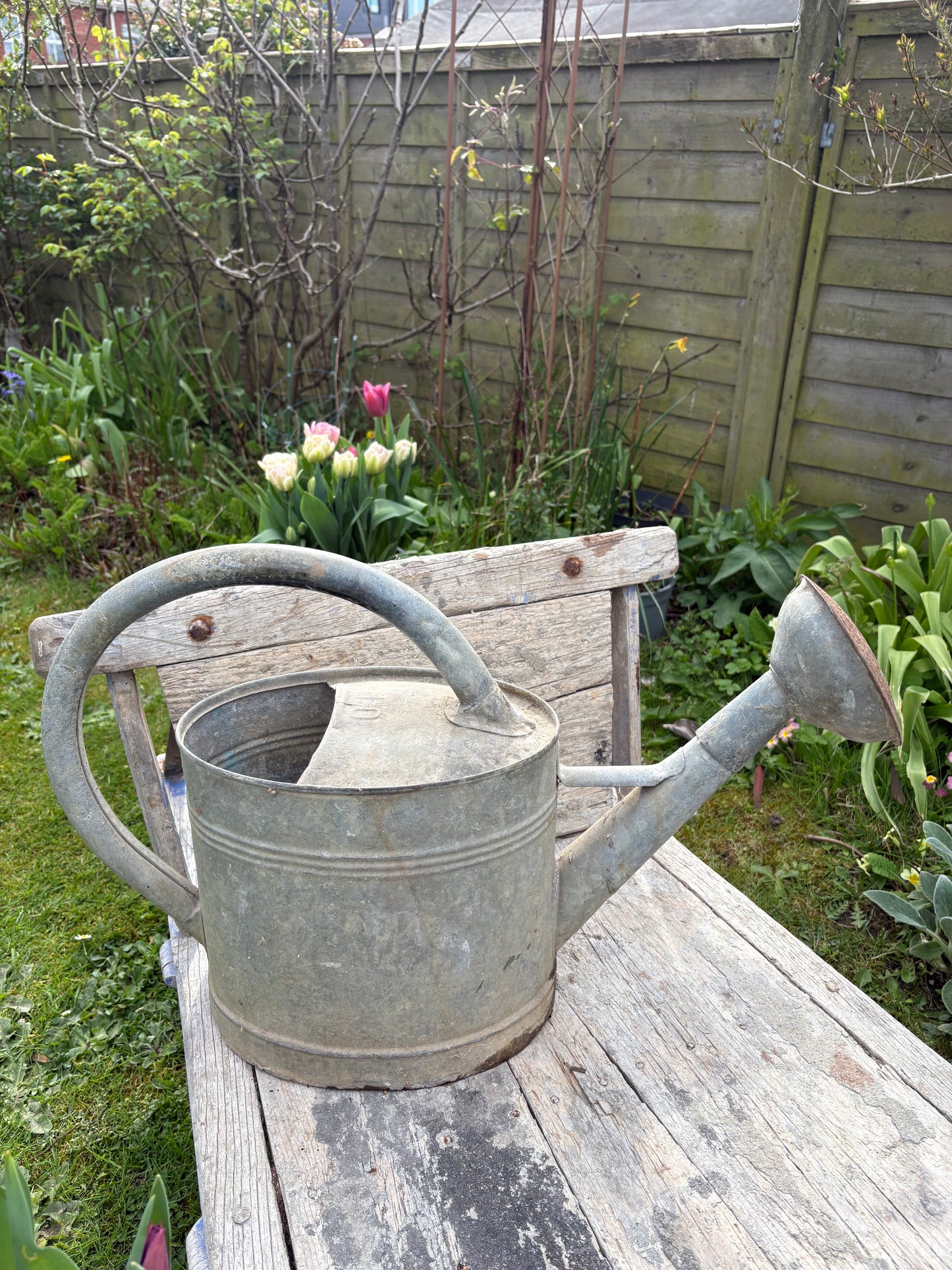French Vintage Galvanised Watering Can