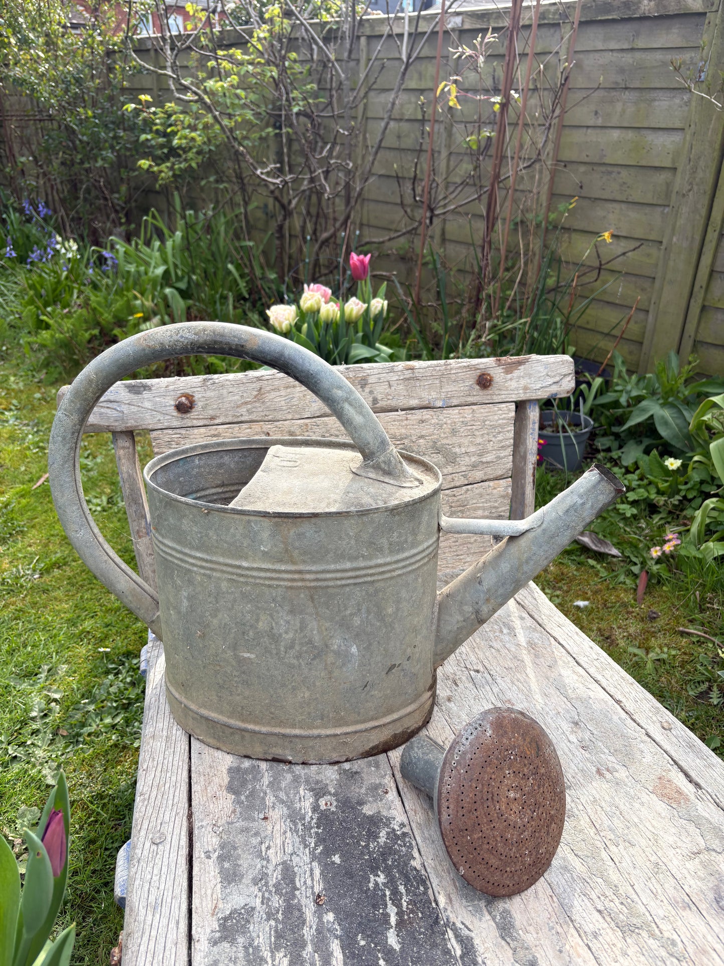 French Vintage Galvanised Watering Can