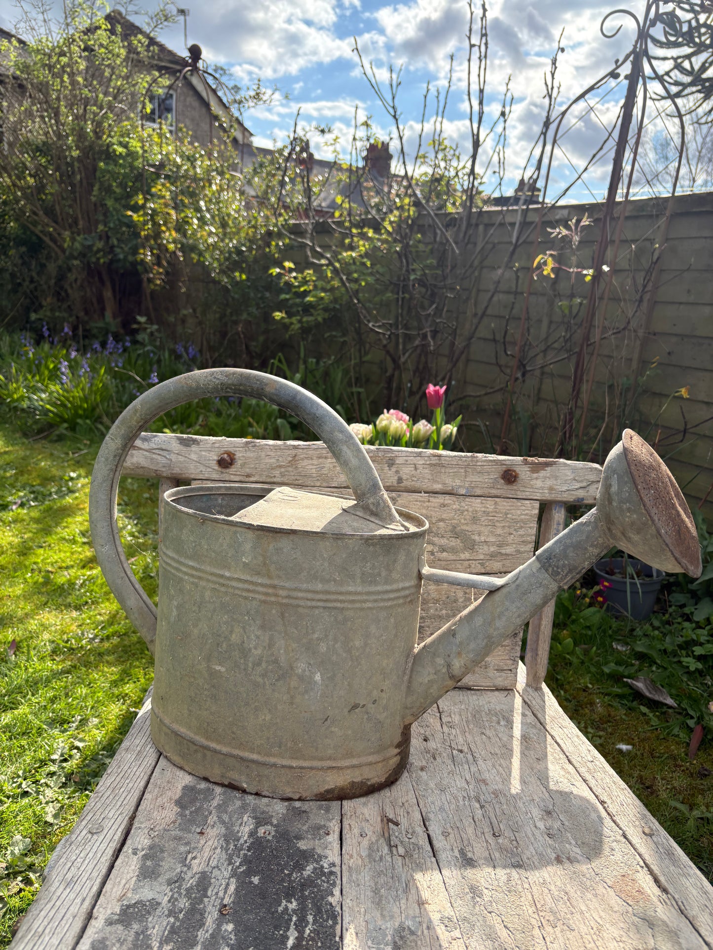 French Vintage Galvanised Watering Can
