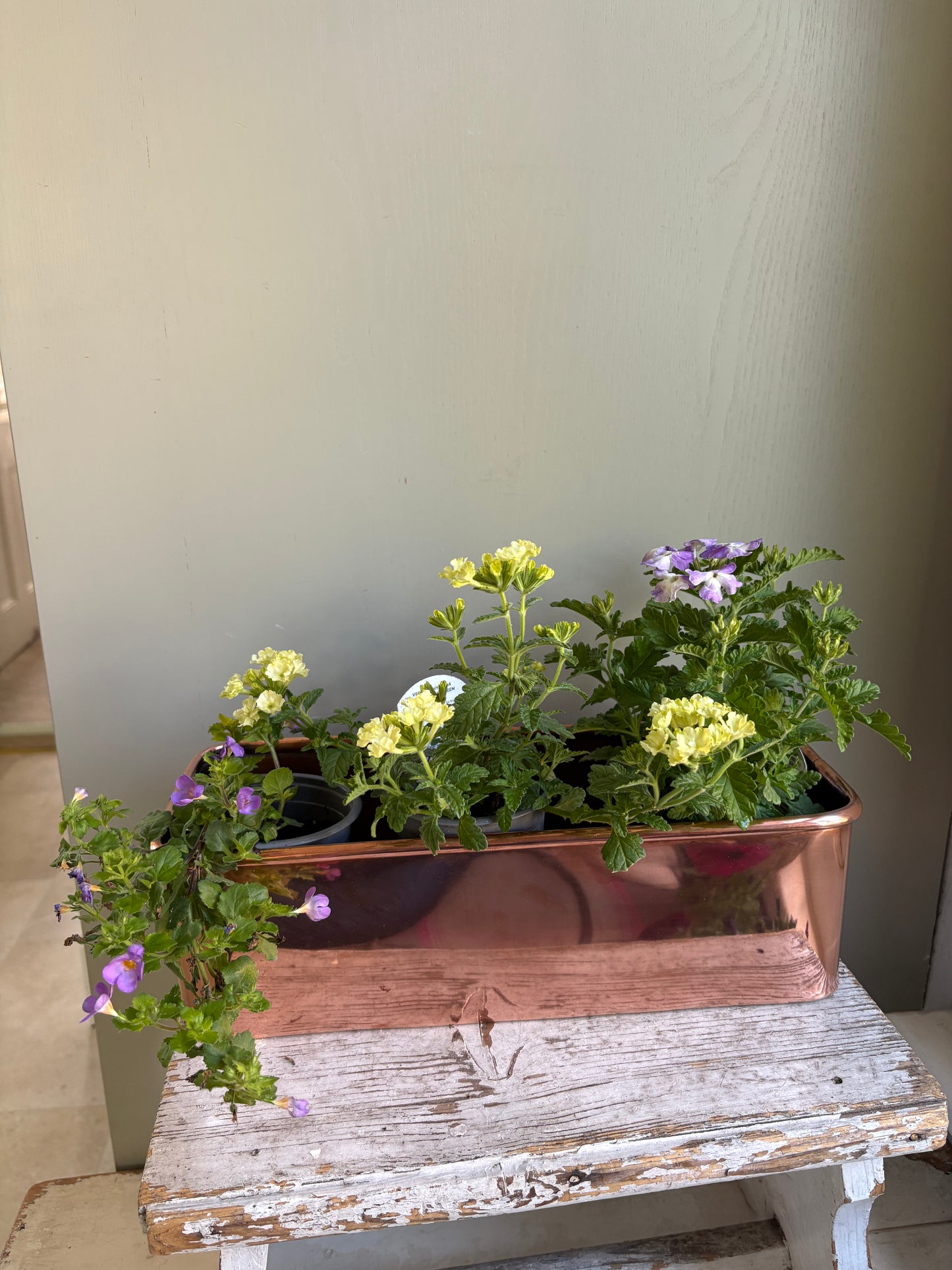 Copper Trough Planter