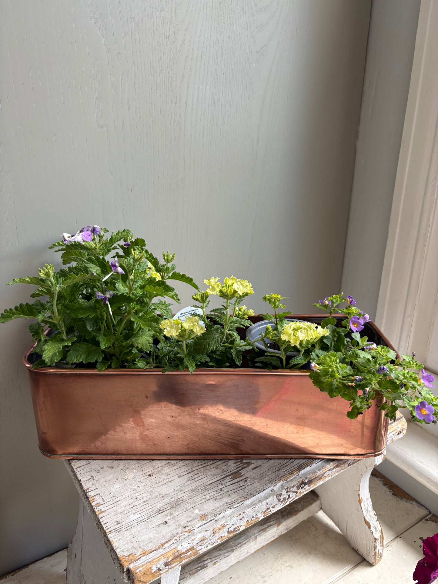 Vintage Copper Trough, Windowsill Planter