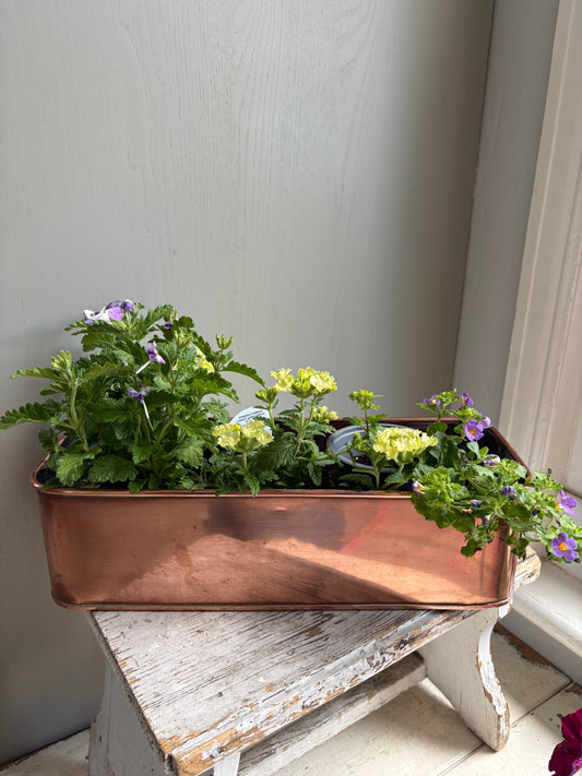 Vintage Copper Trough, Windowsill Planter