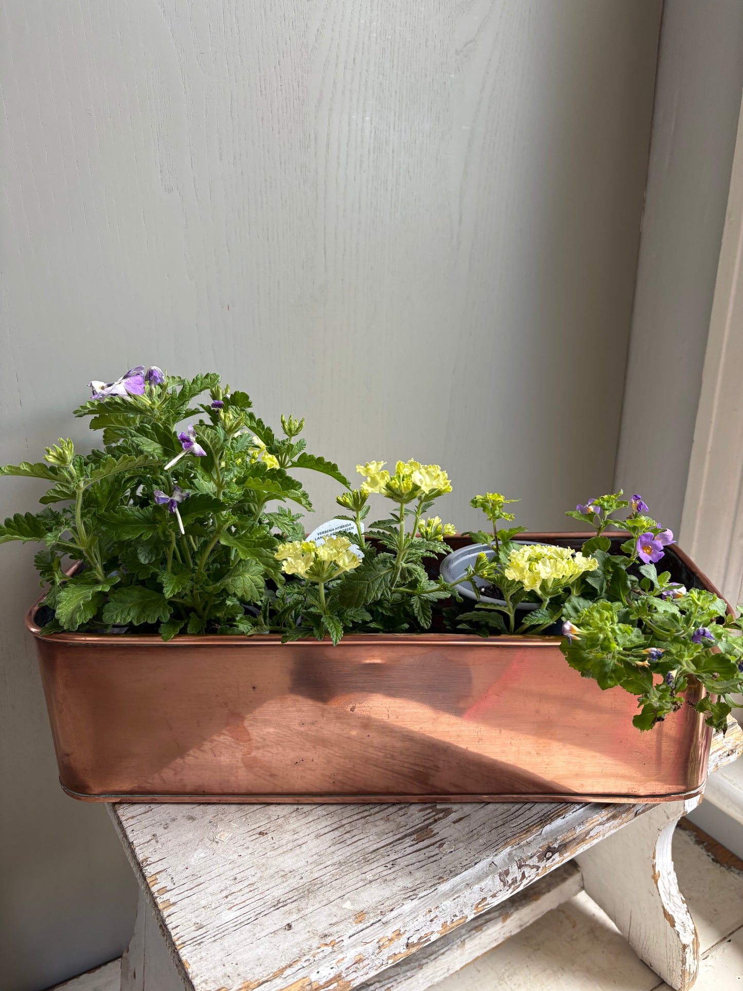 Vintage Copper Trough, Windowsill Planter