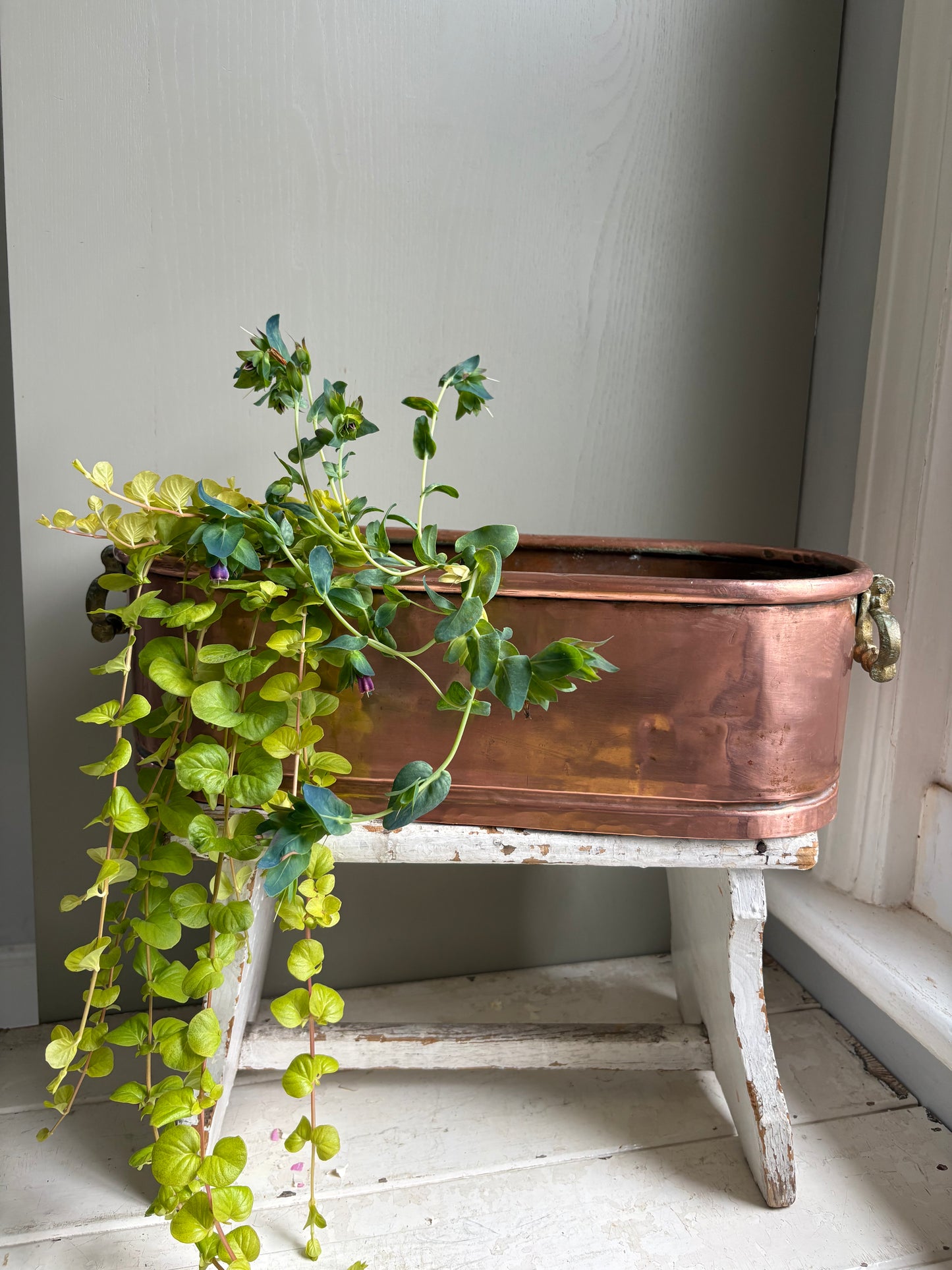 Large Copper Trough