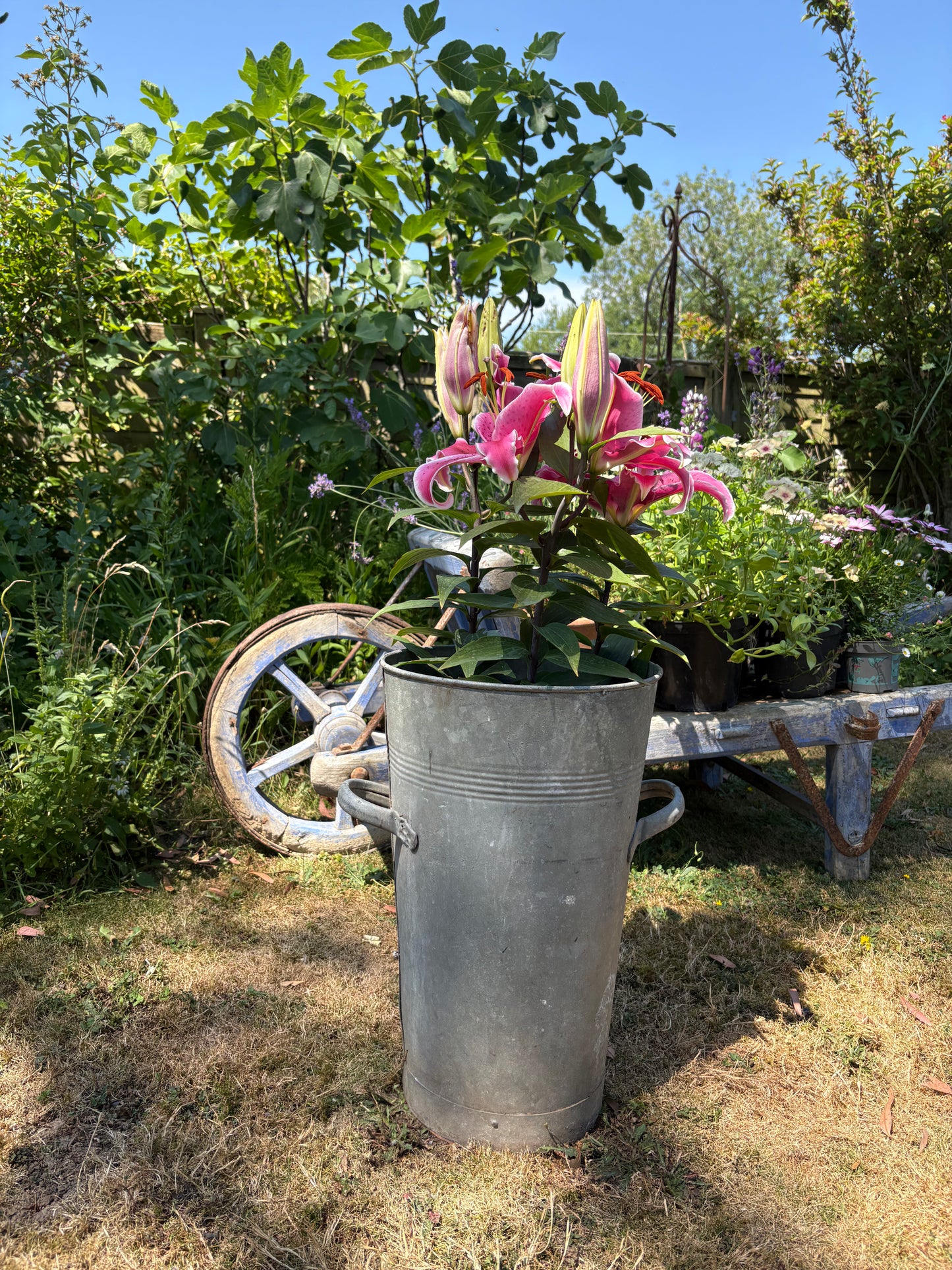 Vintage Galvanised Florist Bucket.