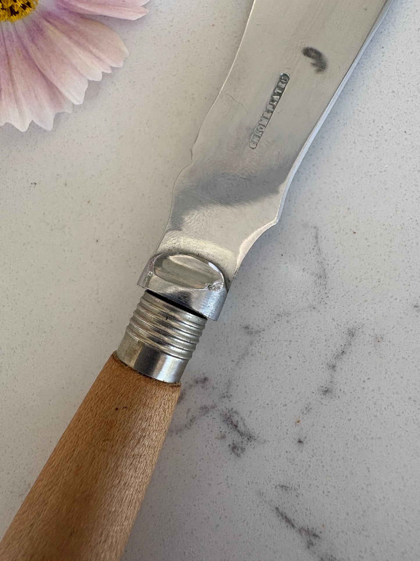 Vintage Carved Butter Spreader.