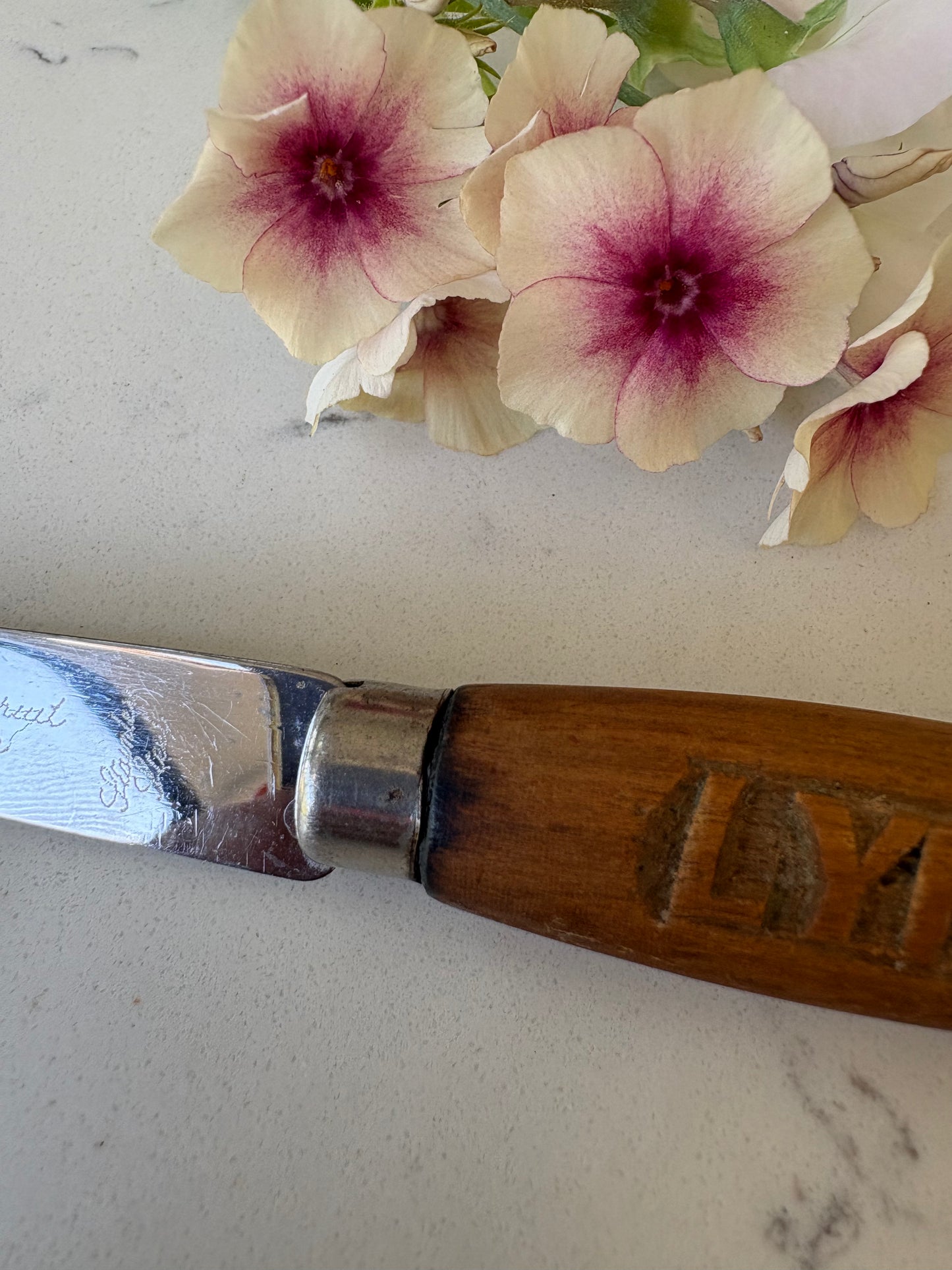 Vintage Carved Grapefruit Cutter, Kitchenalia
