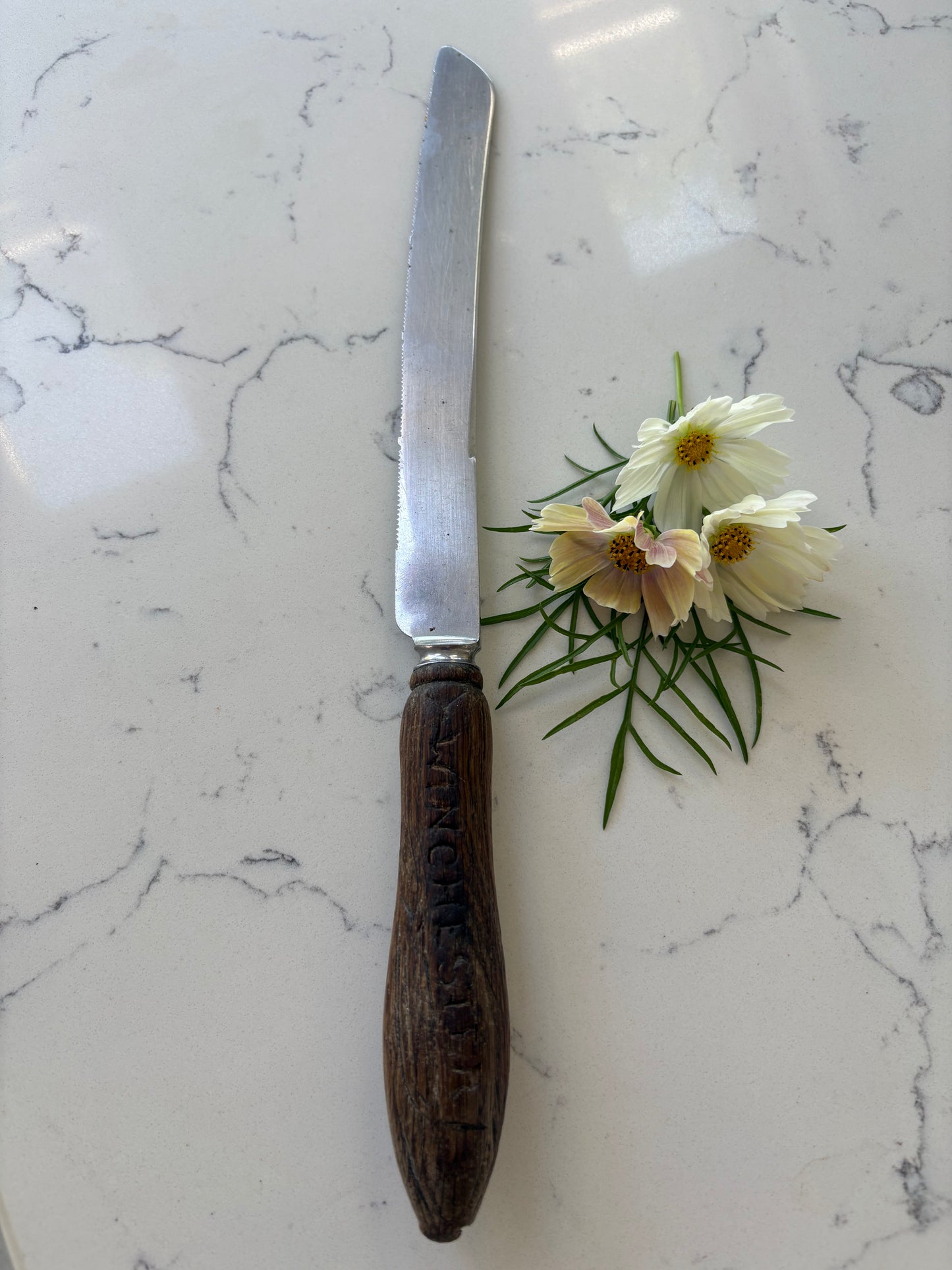Vintage Bread Knife