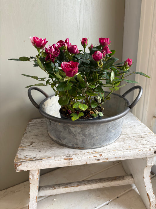 Zinc Round Bowl with Handles