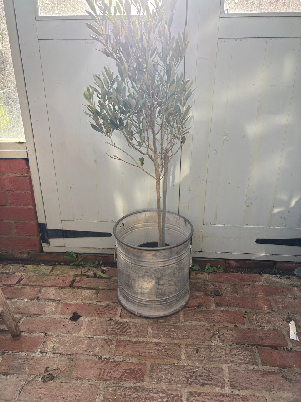 Small Vintage Style Round Planter