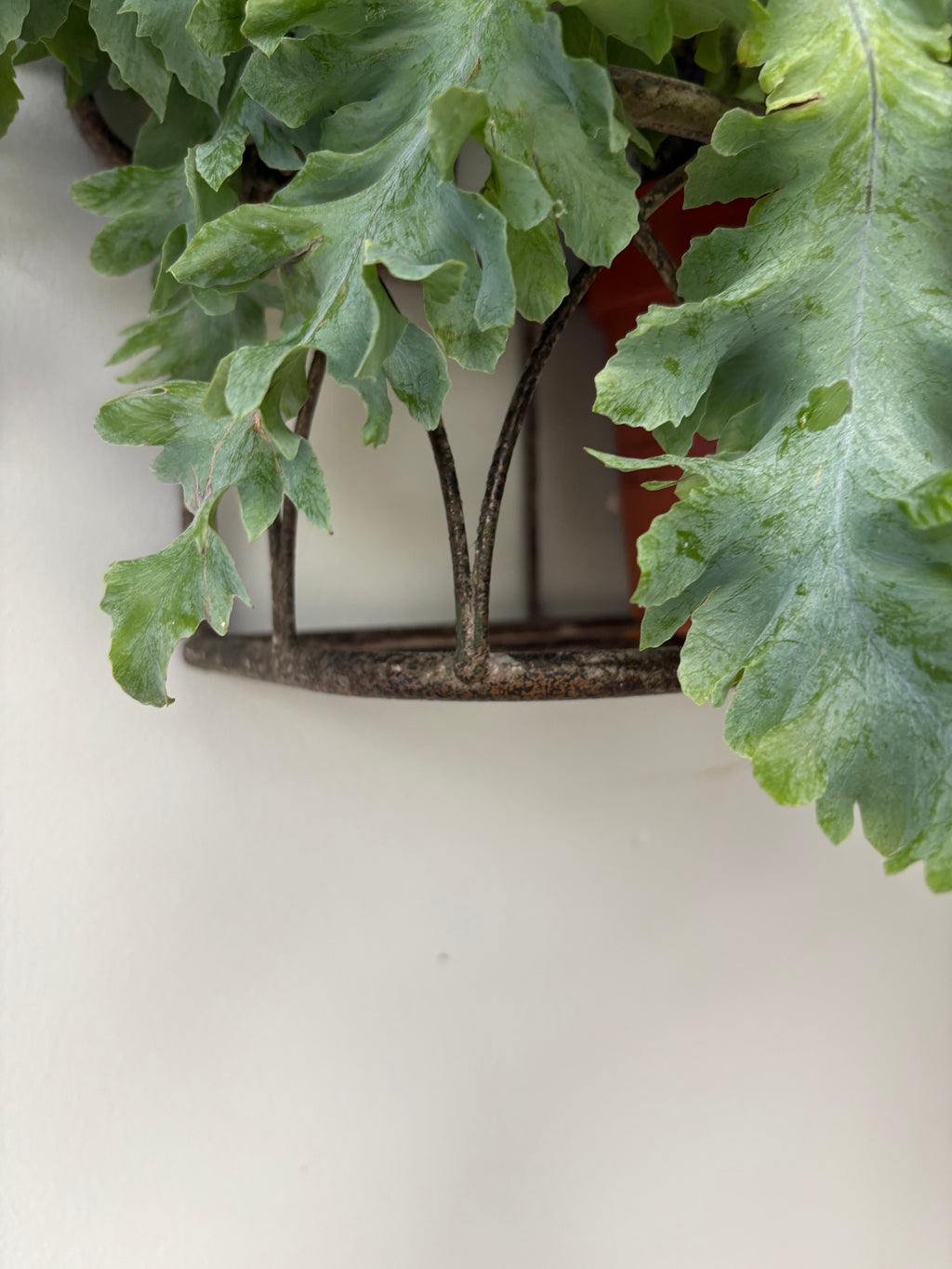 Vintage Style, Small Hanging Metal Planter.