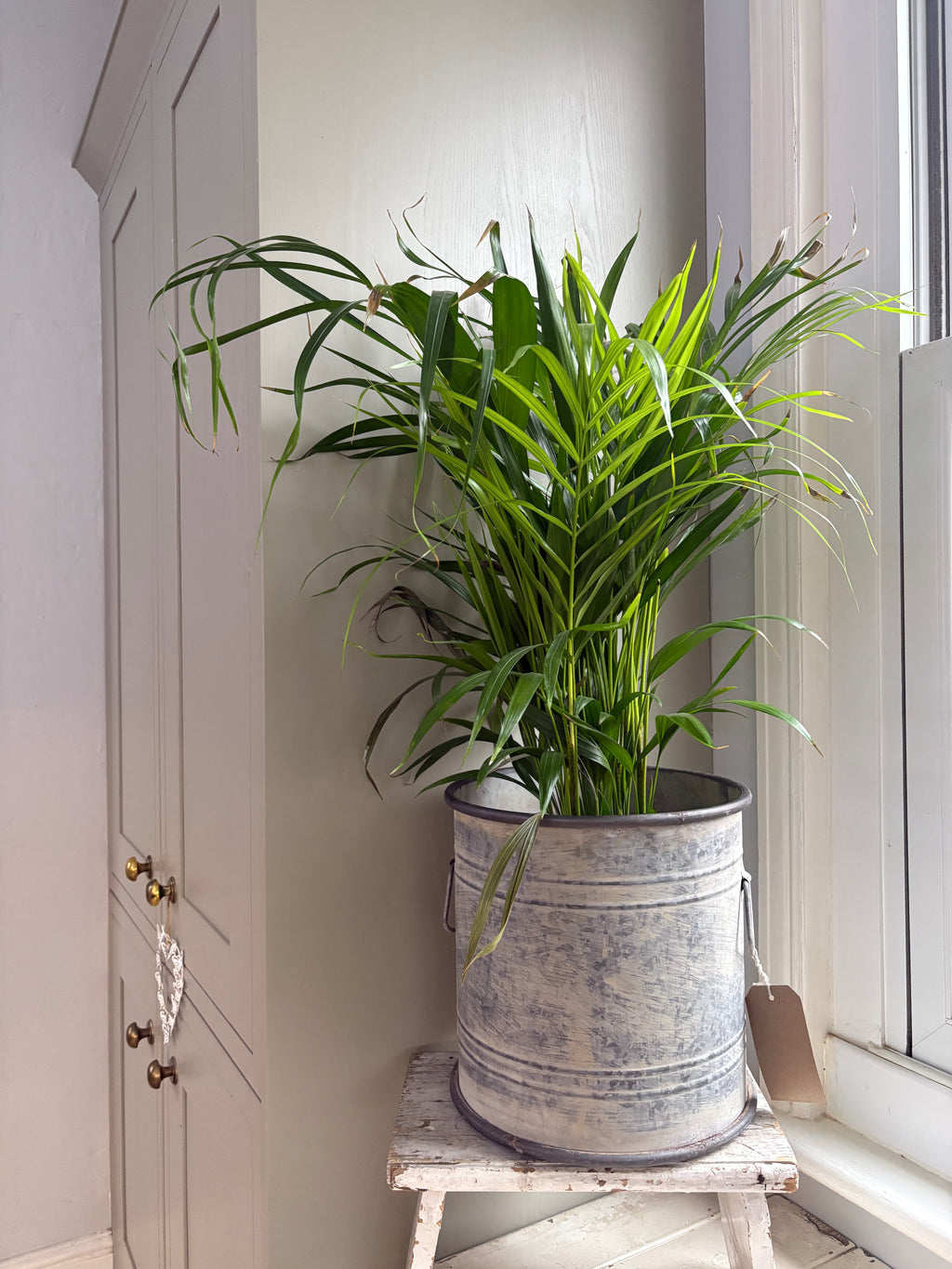 Small Vintage Style Round Planter