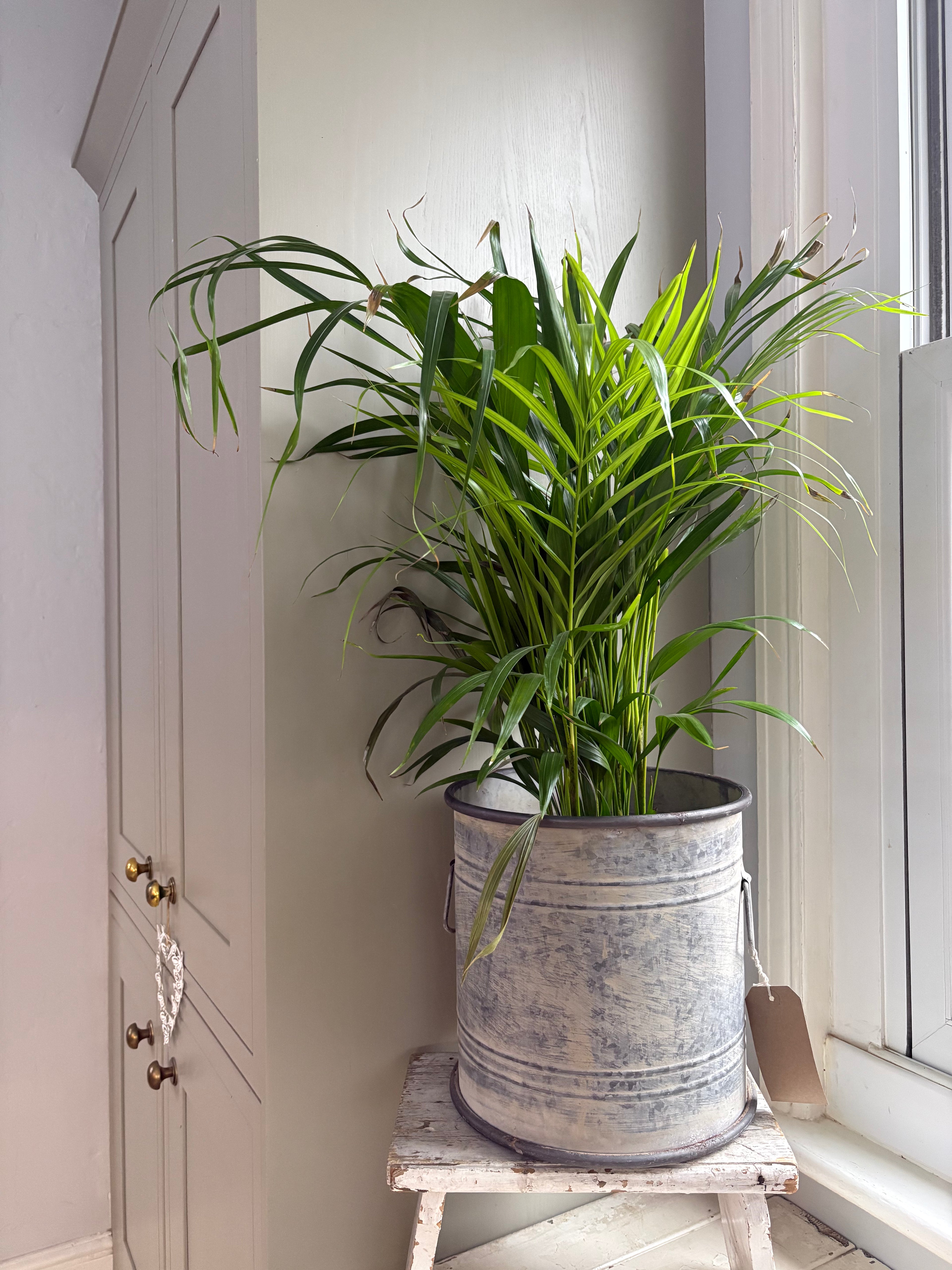 Small Vintage Style Round Planter