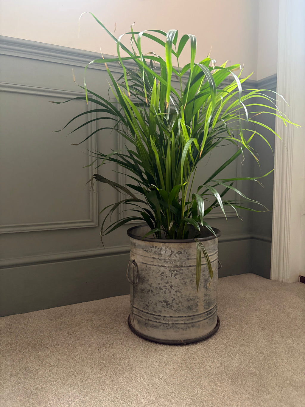 Small Vintage Style Round Planter