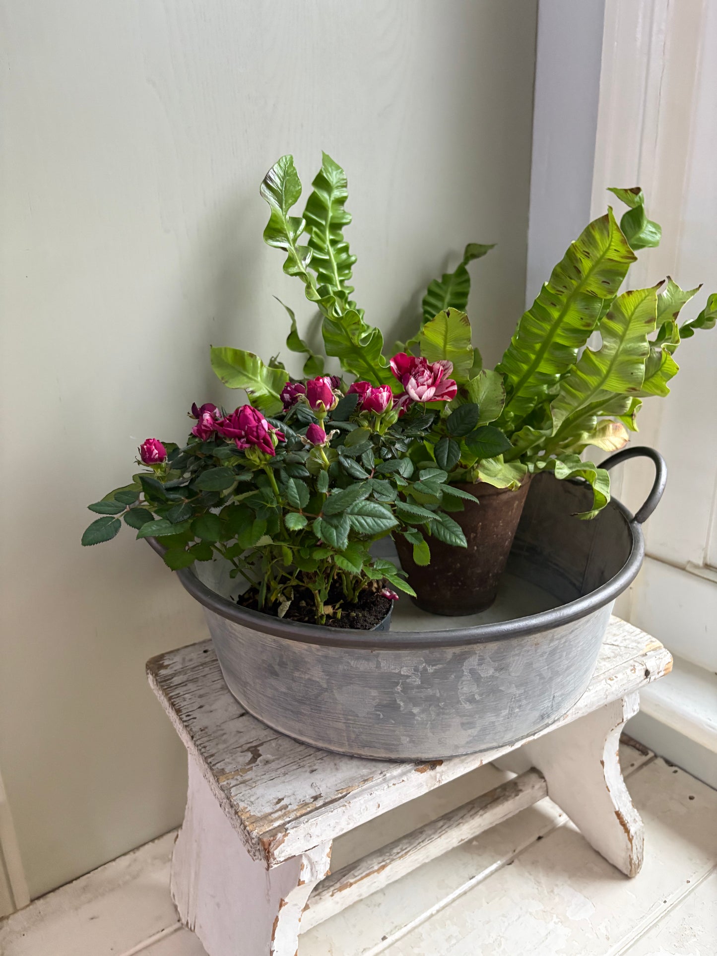 Large Vintage Style Round Zinc Bowl Planter with Handles