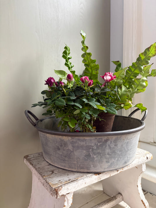 Large Vintage Style Round Zinc Bowl Planter with Handles