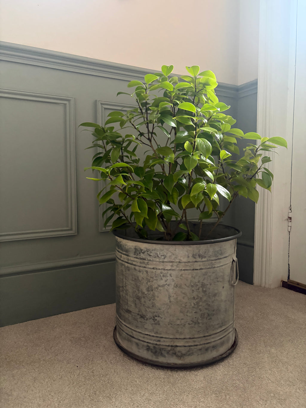 Large Vintage Style Round Zinc Planter.