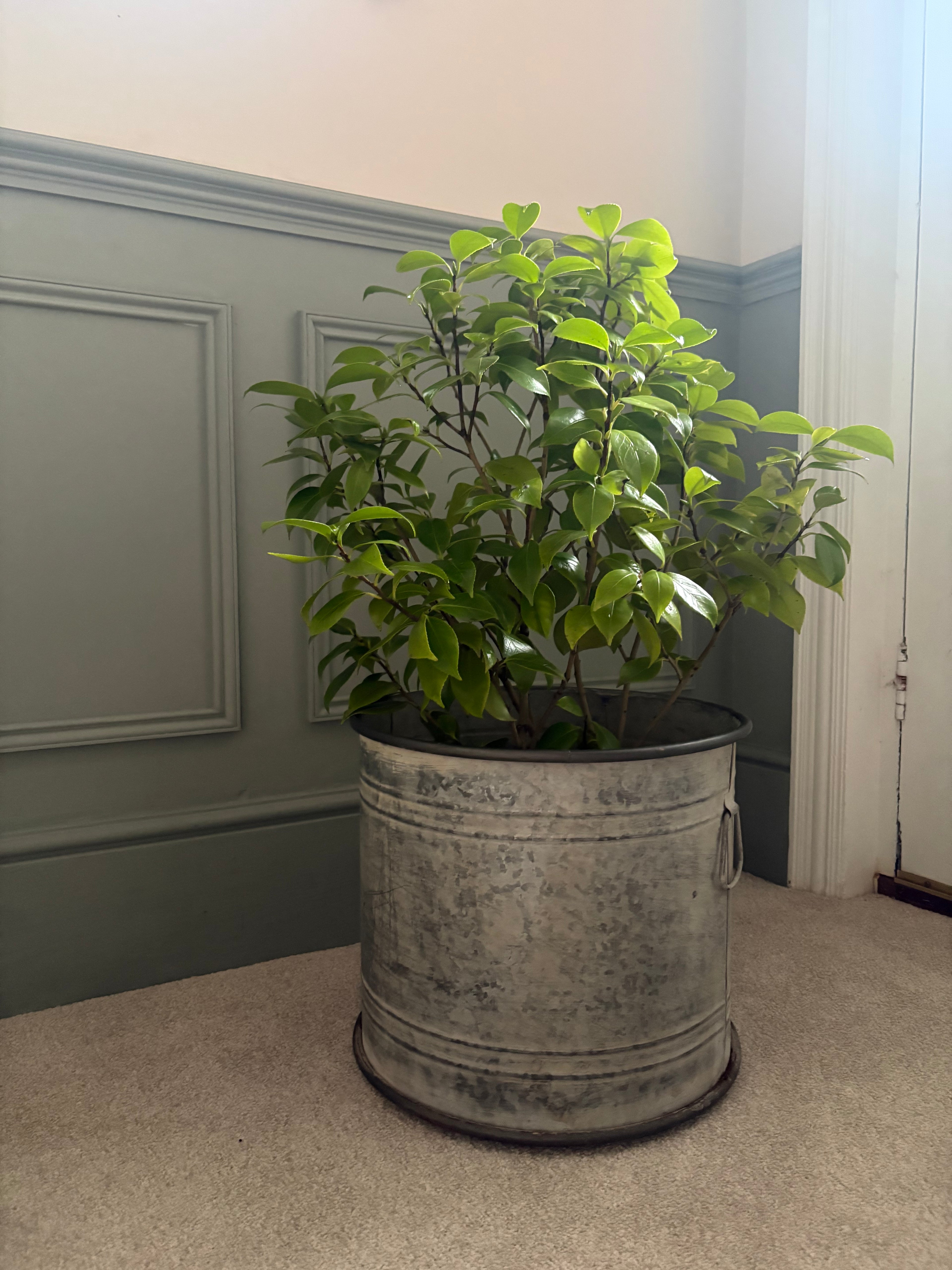 Large Vintage Style Round Zinc Planter.