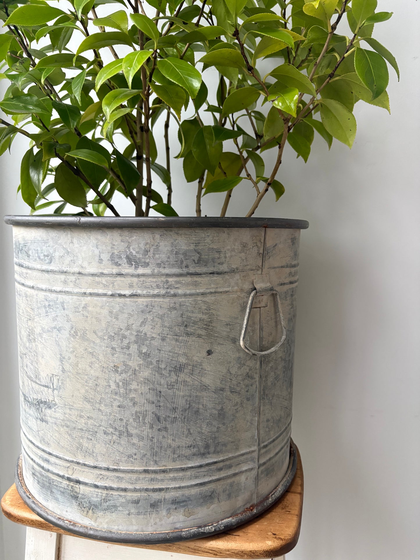 Large Vintage Style Round Zinc Planter.