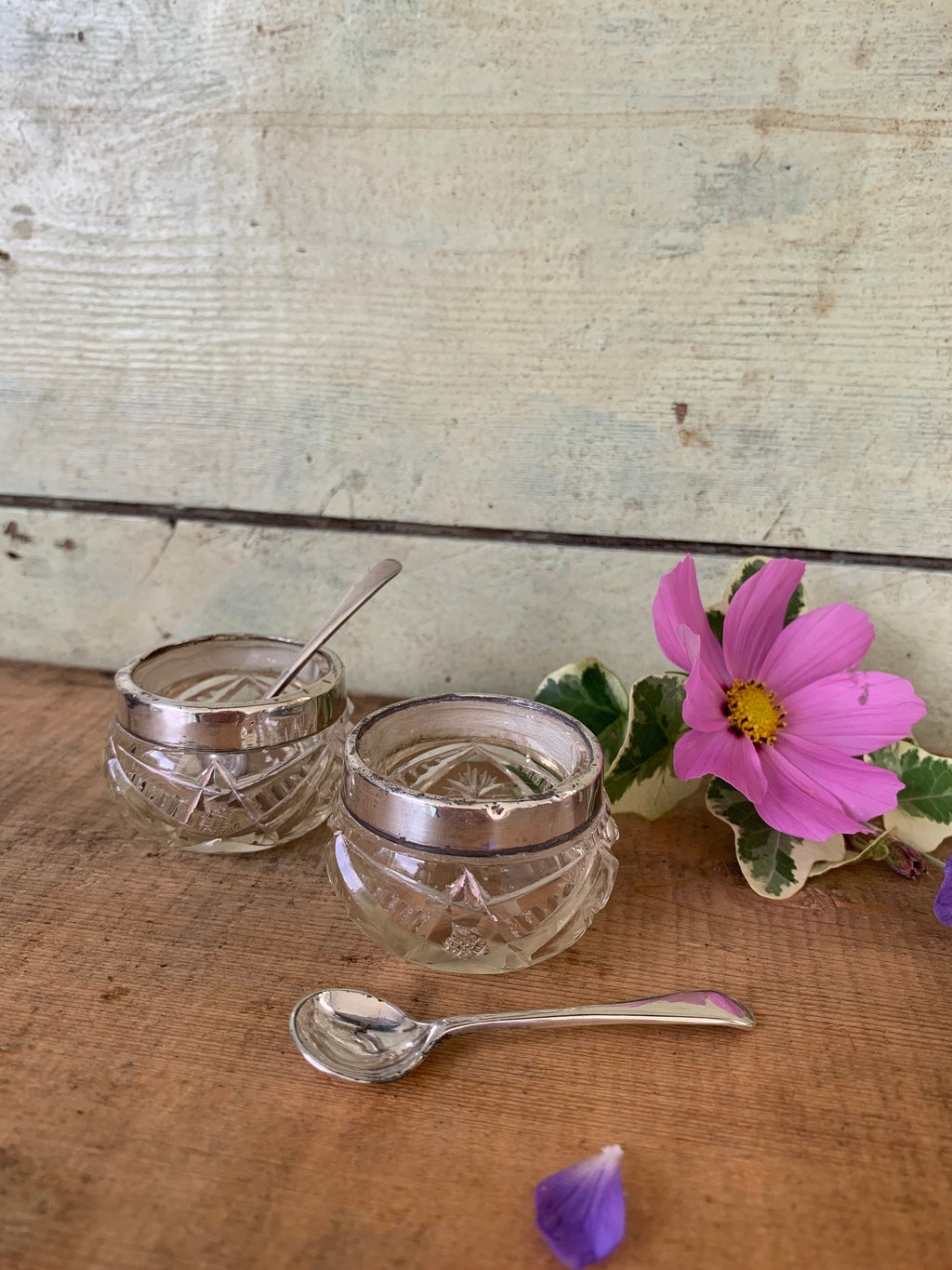 Pair of rimmed vintage glass salts