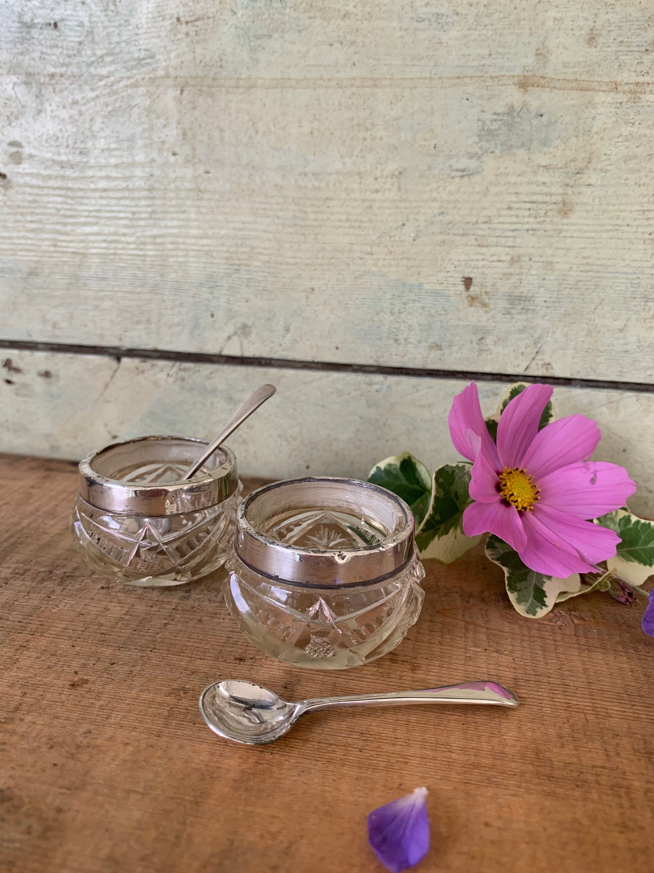 Pair of rimmed vintage glass salts