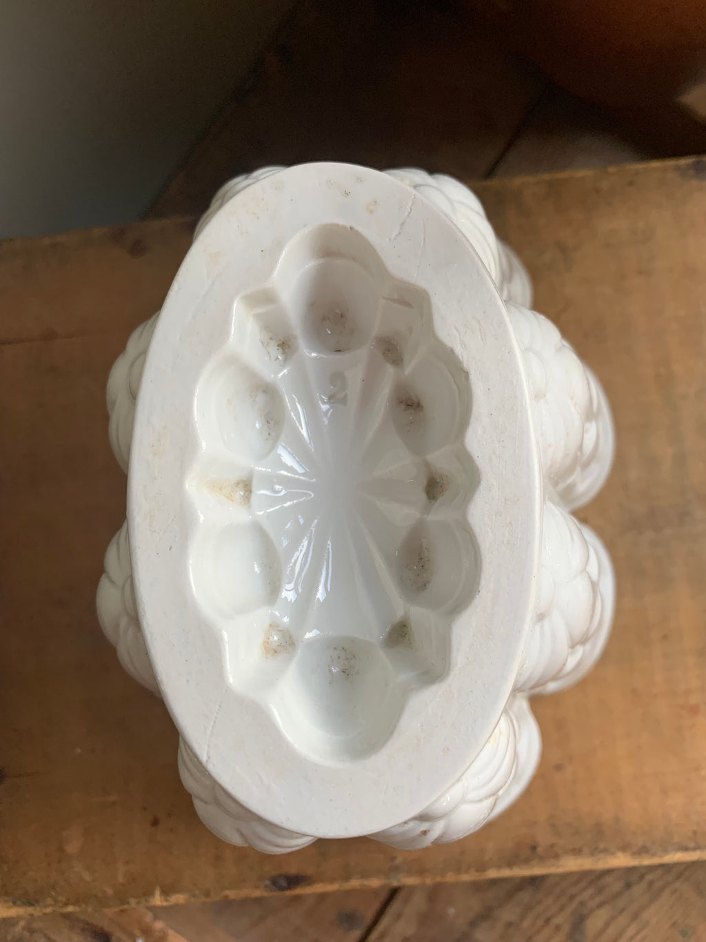 Small Shelly Jelly Mould