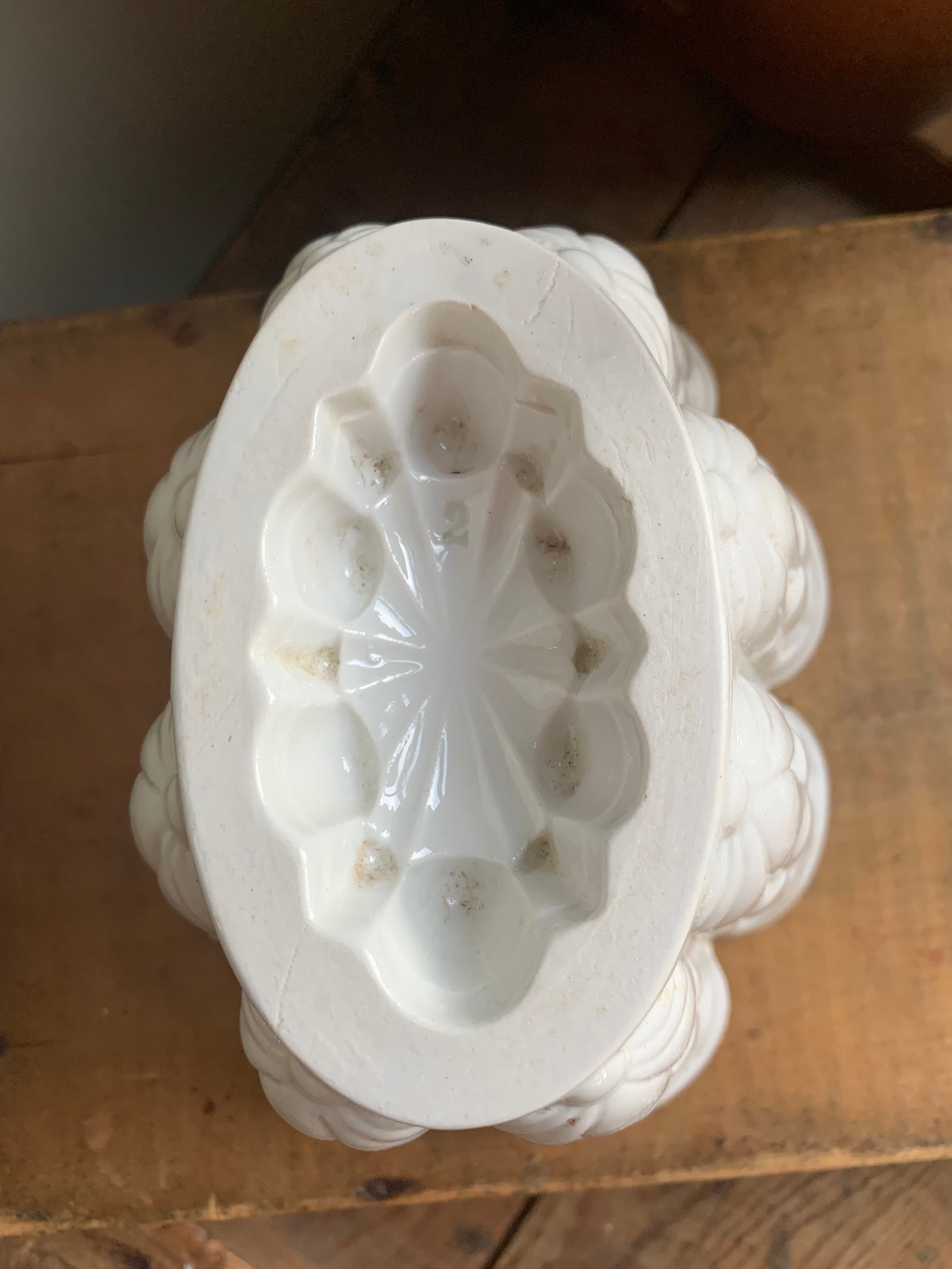 Small Shelly Jelly Mould