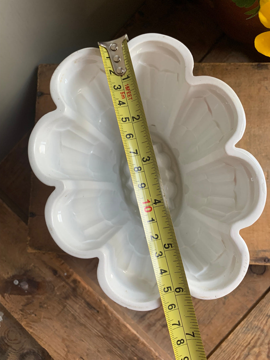 Small Shelly Jelly Mould