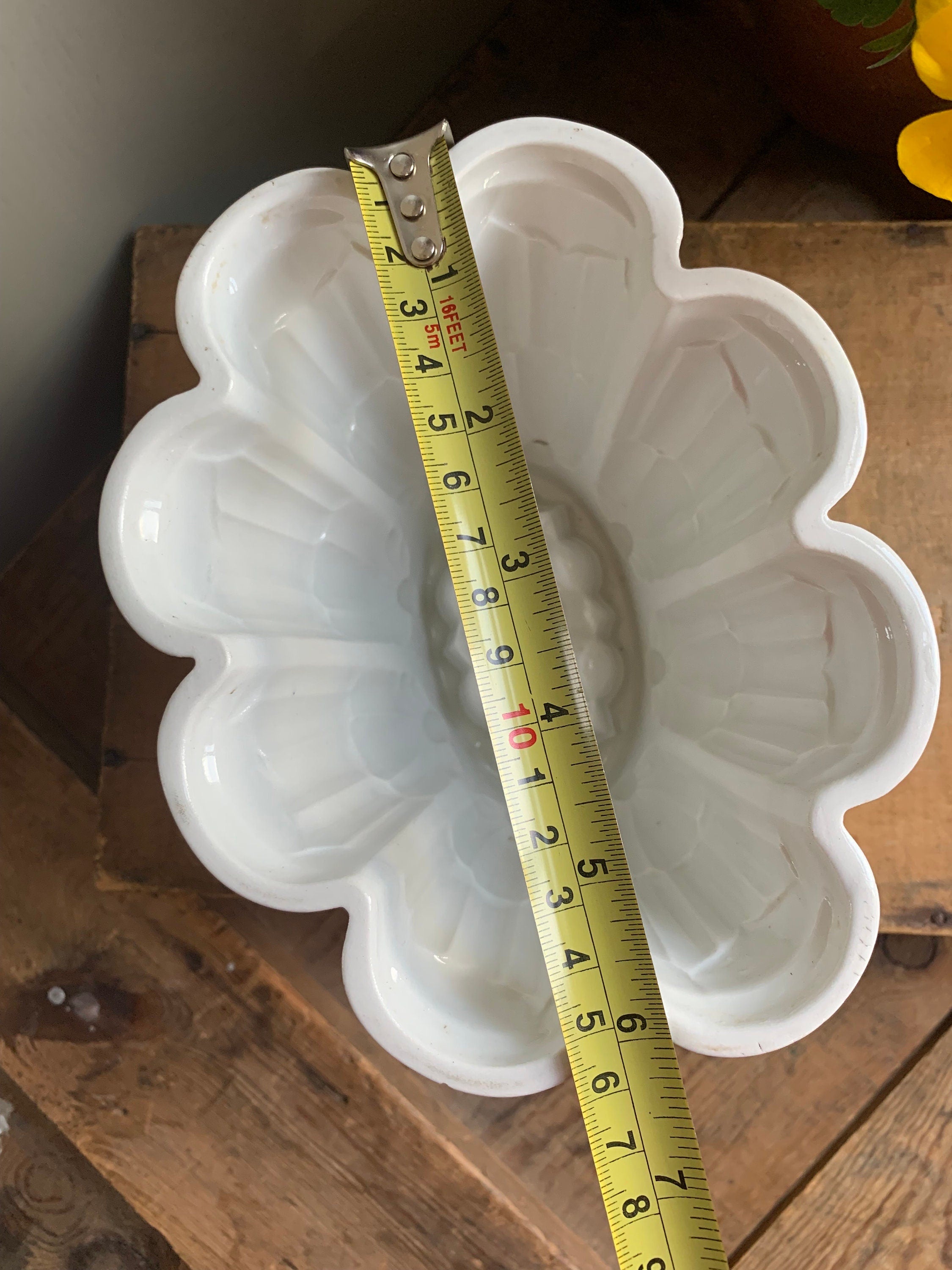 Small Shelly Jelly Mould