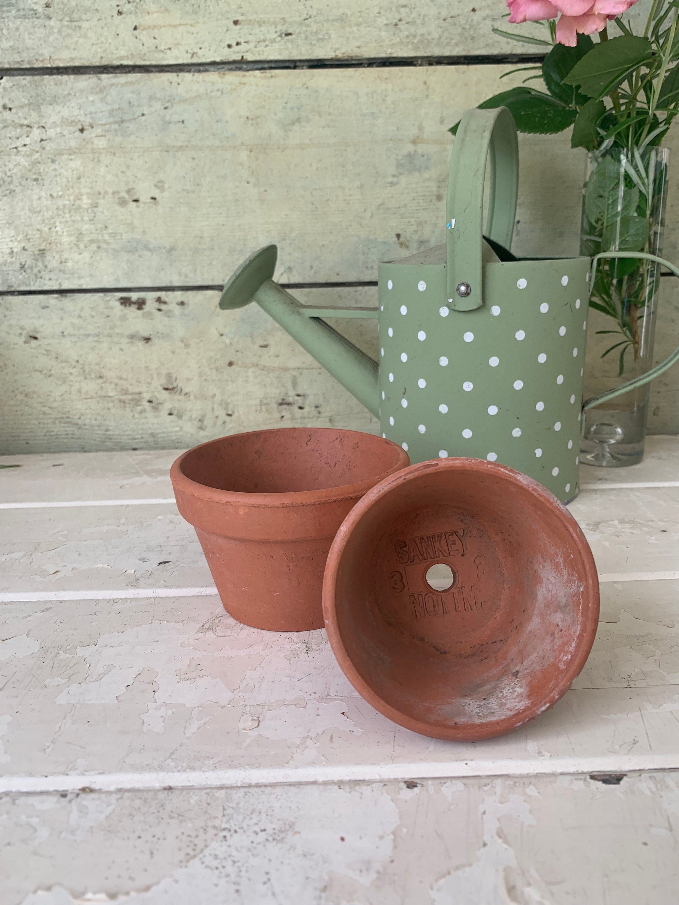 Two Small Flower Pots