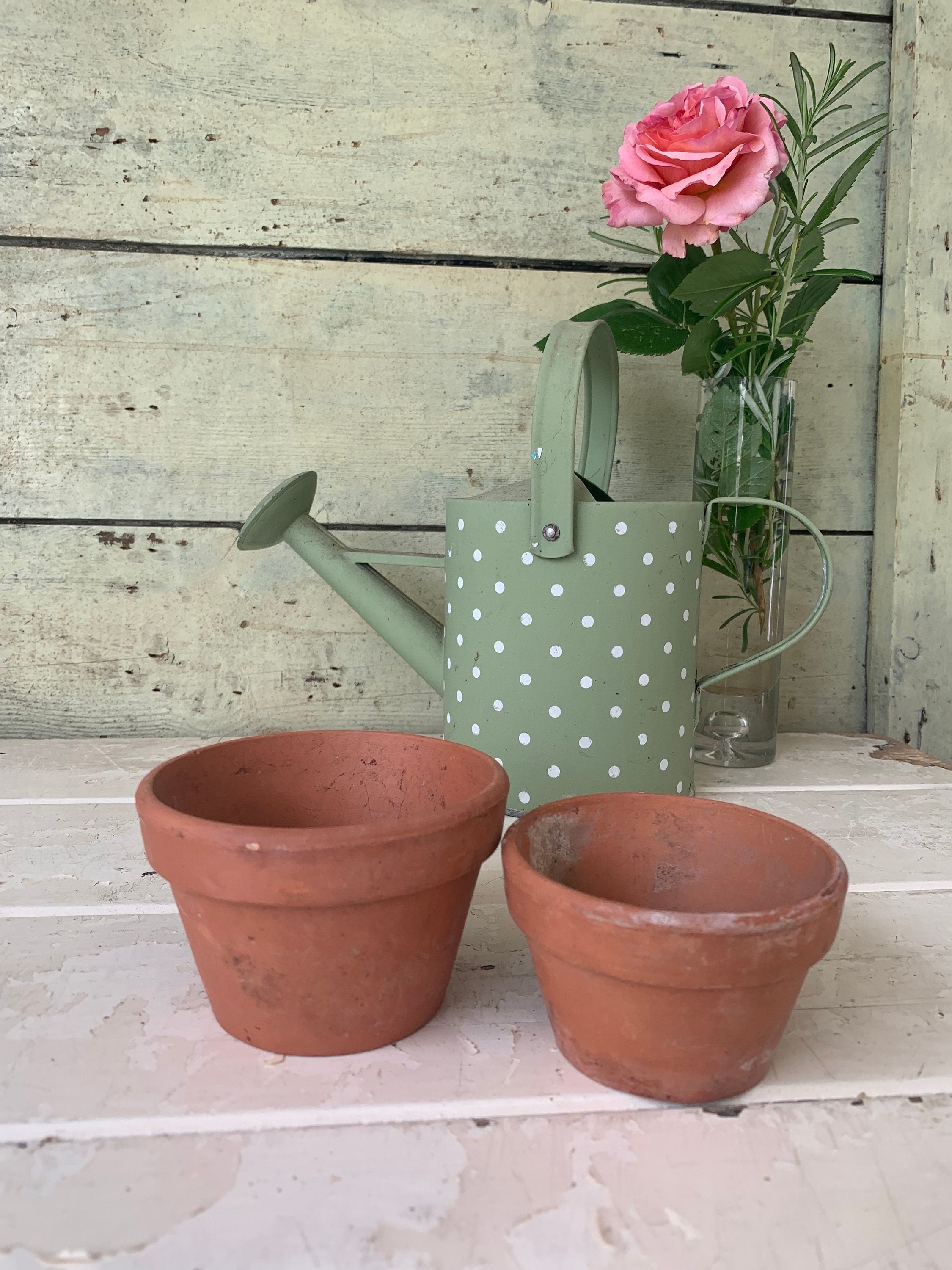 Two Small Flower Pots