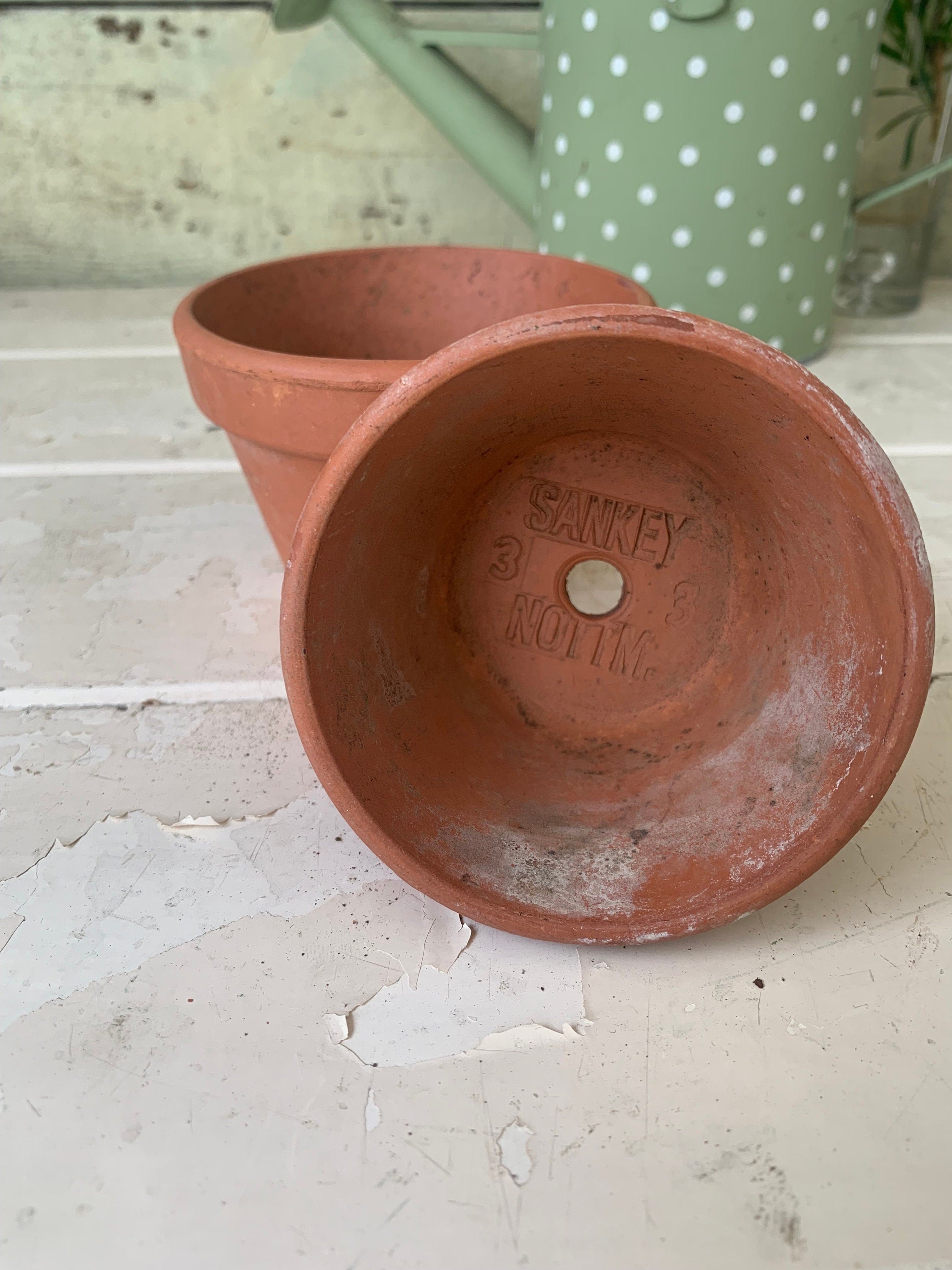 Two Small Flower Pots