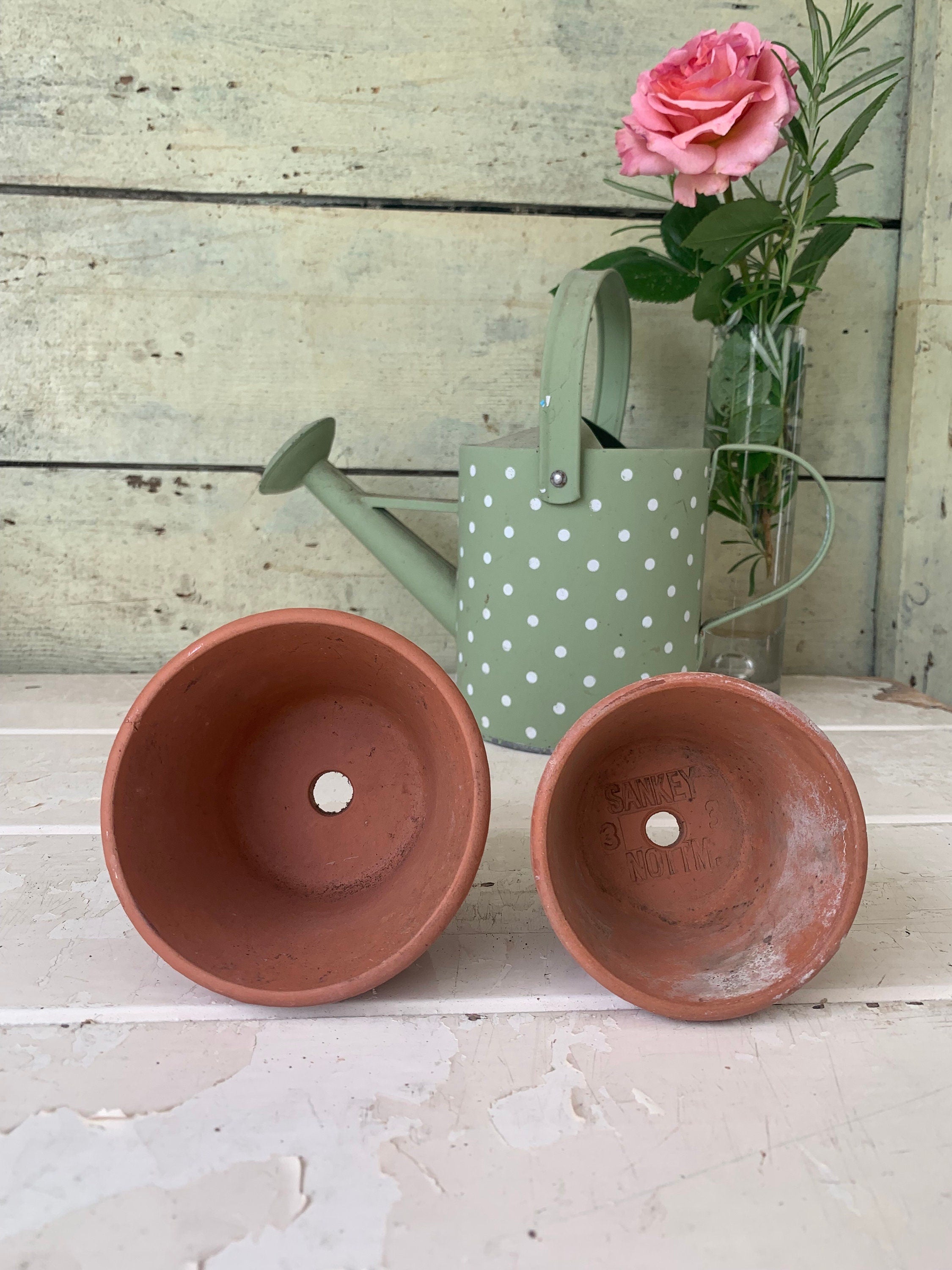 Two Small Flower Pots