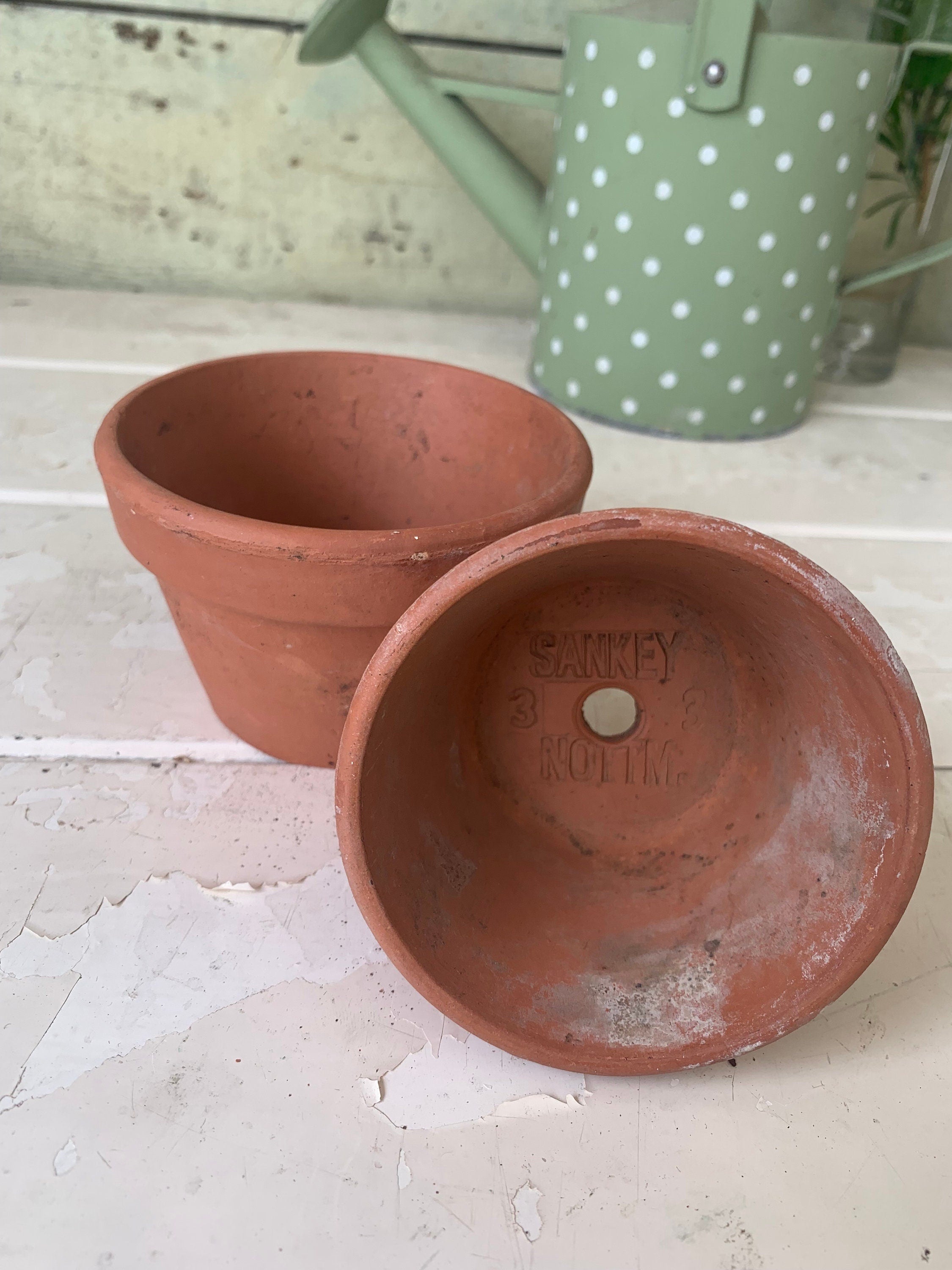 Two Small Flower Pots